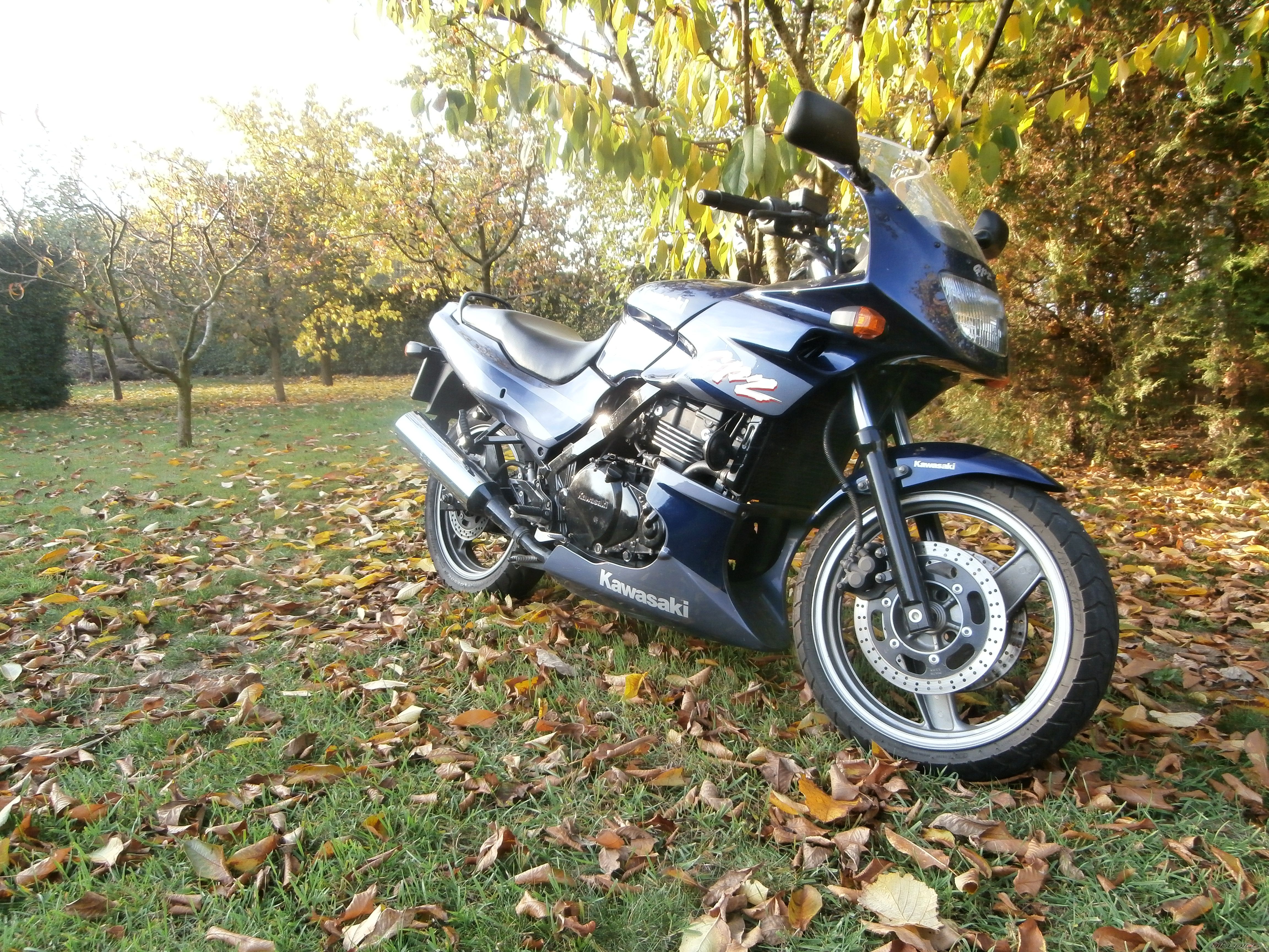 Photo 2608922