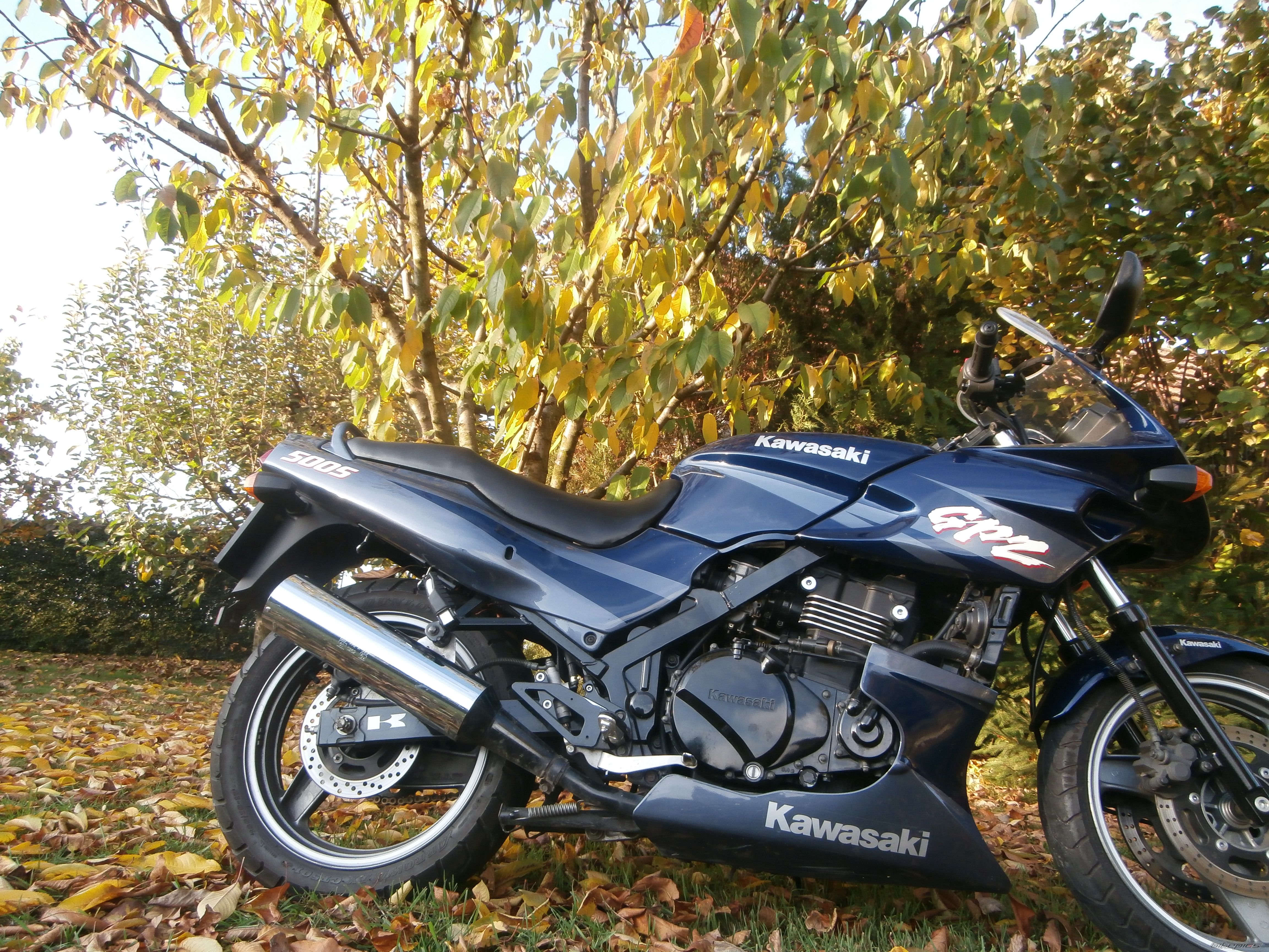 Photo 2608923