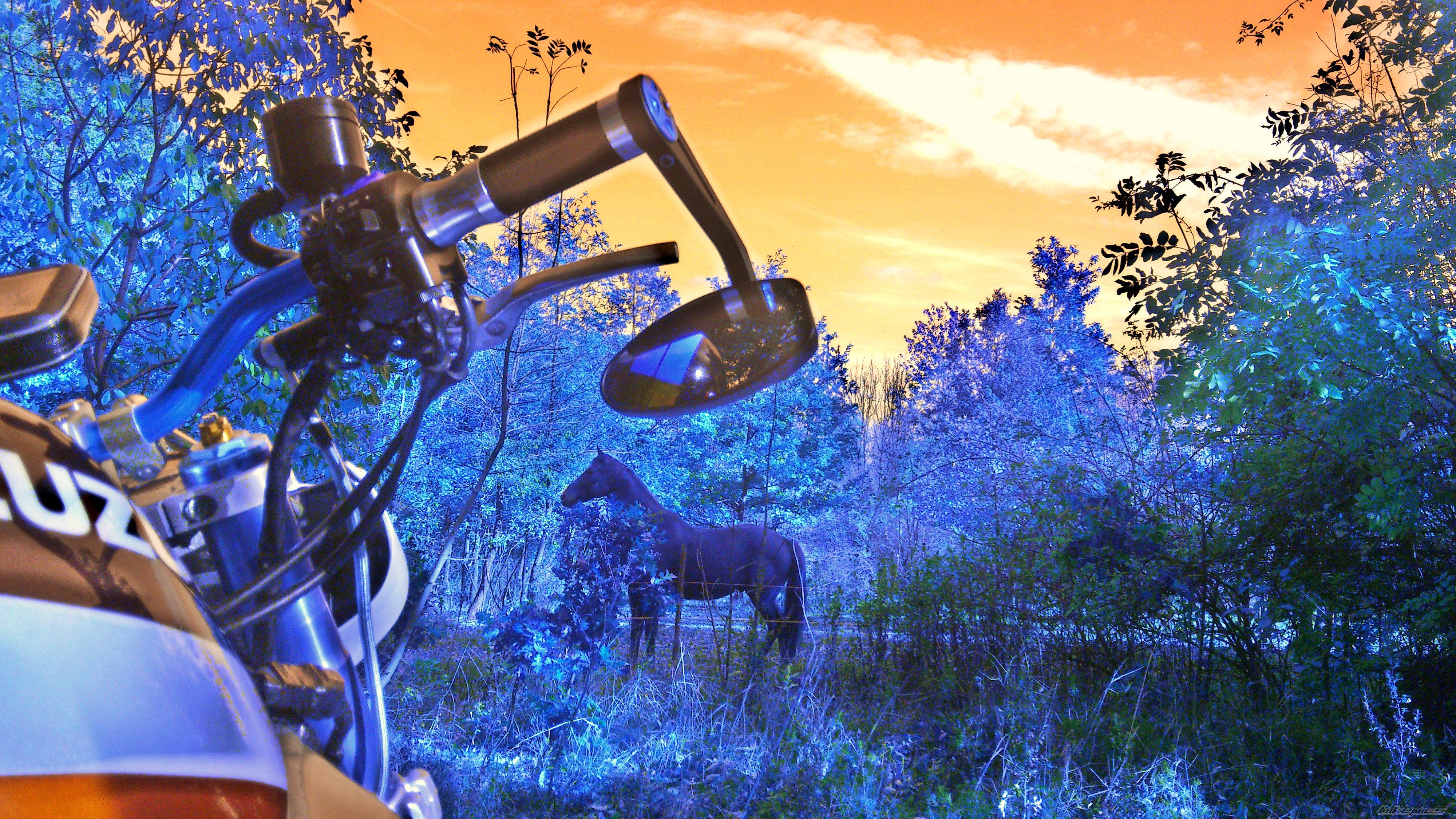 Bike Photo 2608933