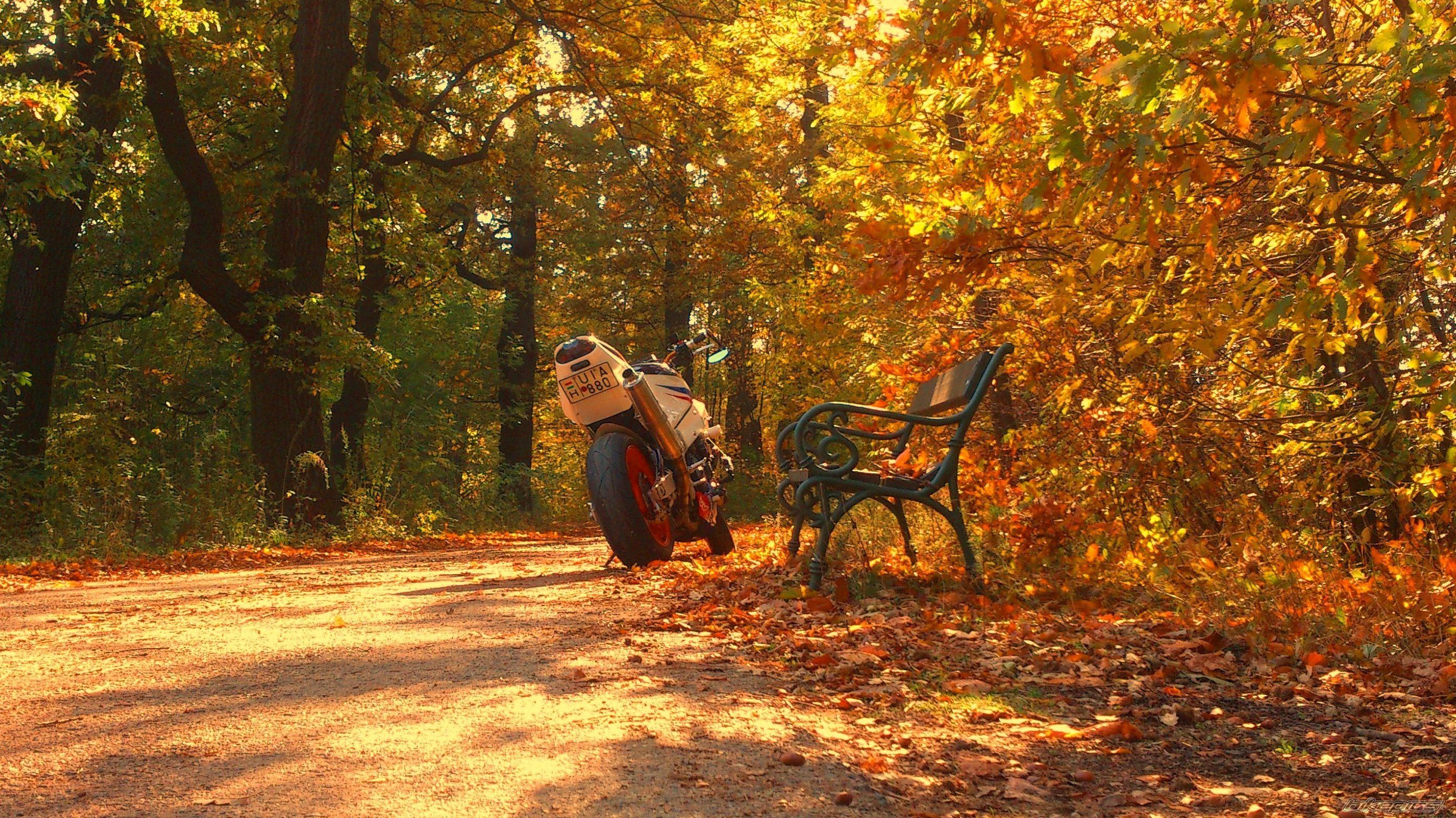 Bike Photo 2608936