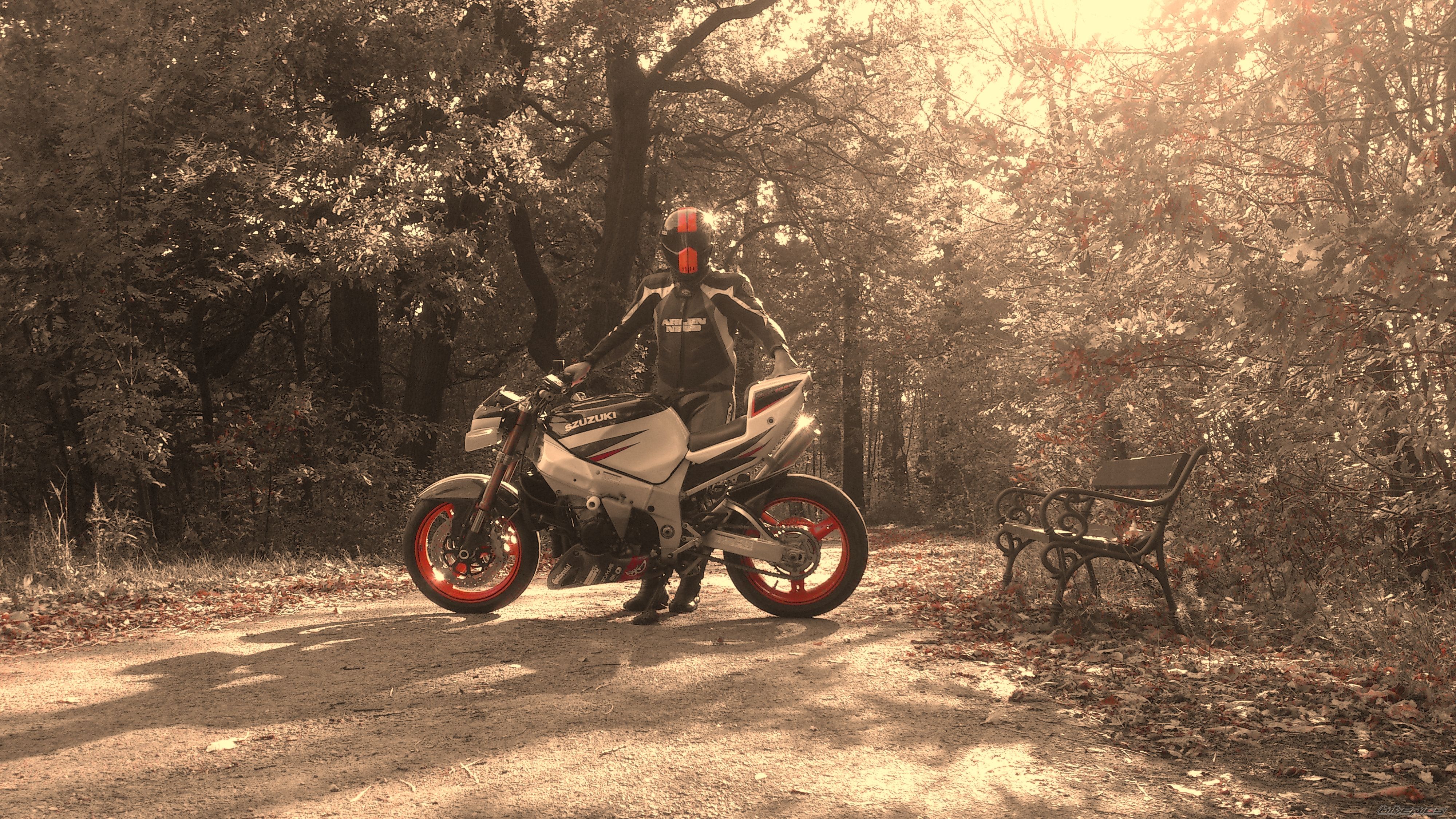 Bike Photo 2608940