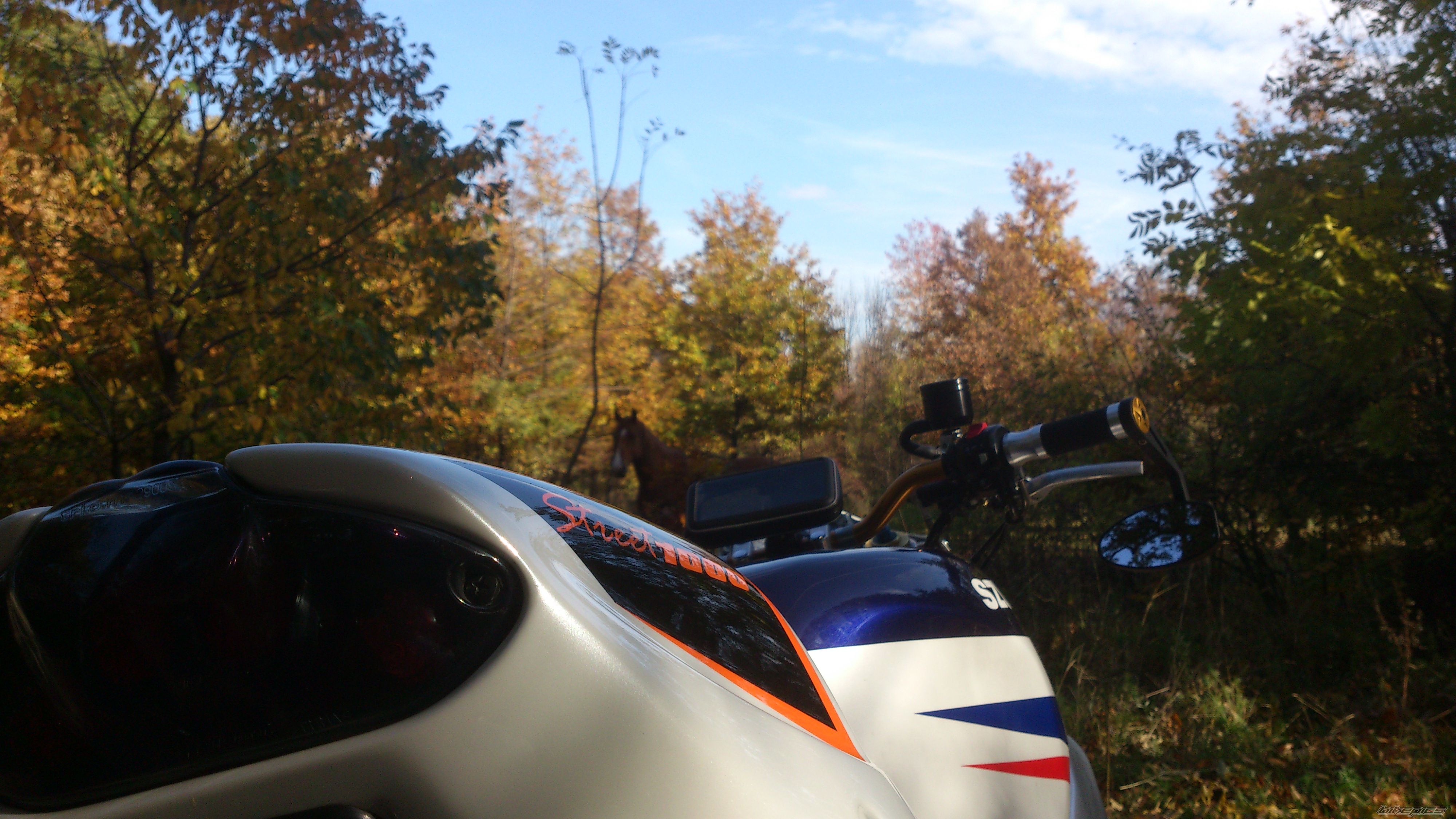 Bike Photo 2608942