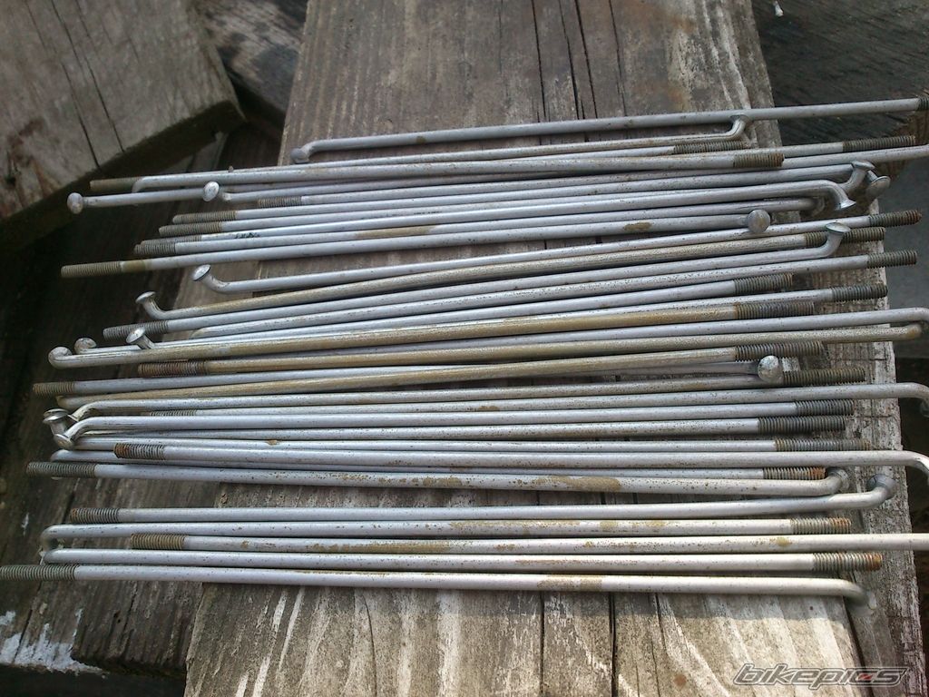 Photo 2609095