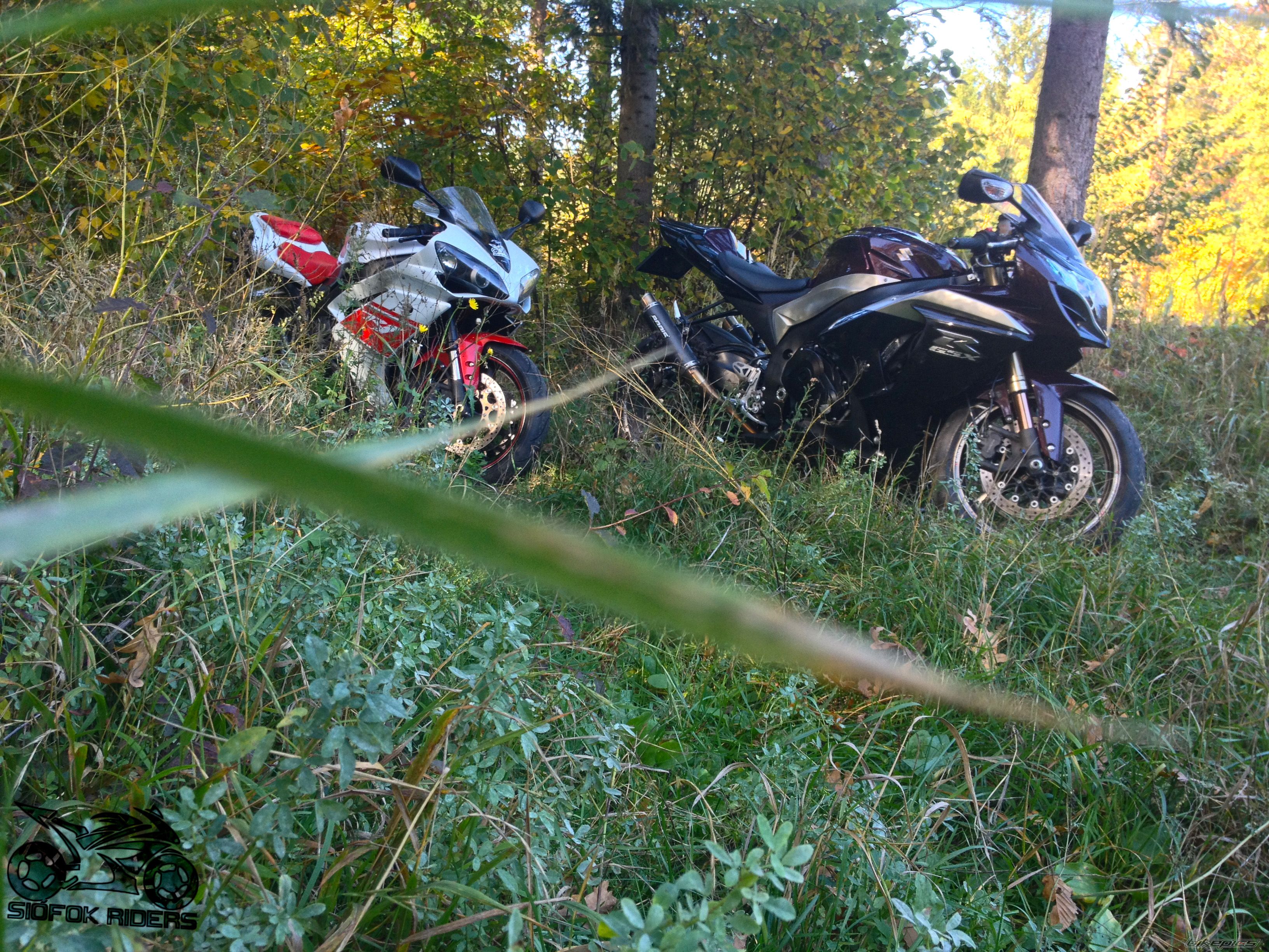 Photo 2609205