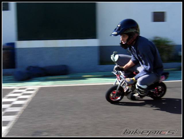 Photo 260922