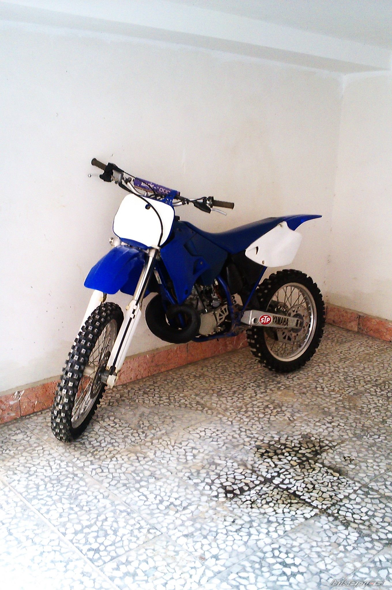 Photo 2609280