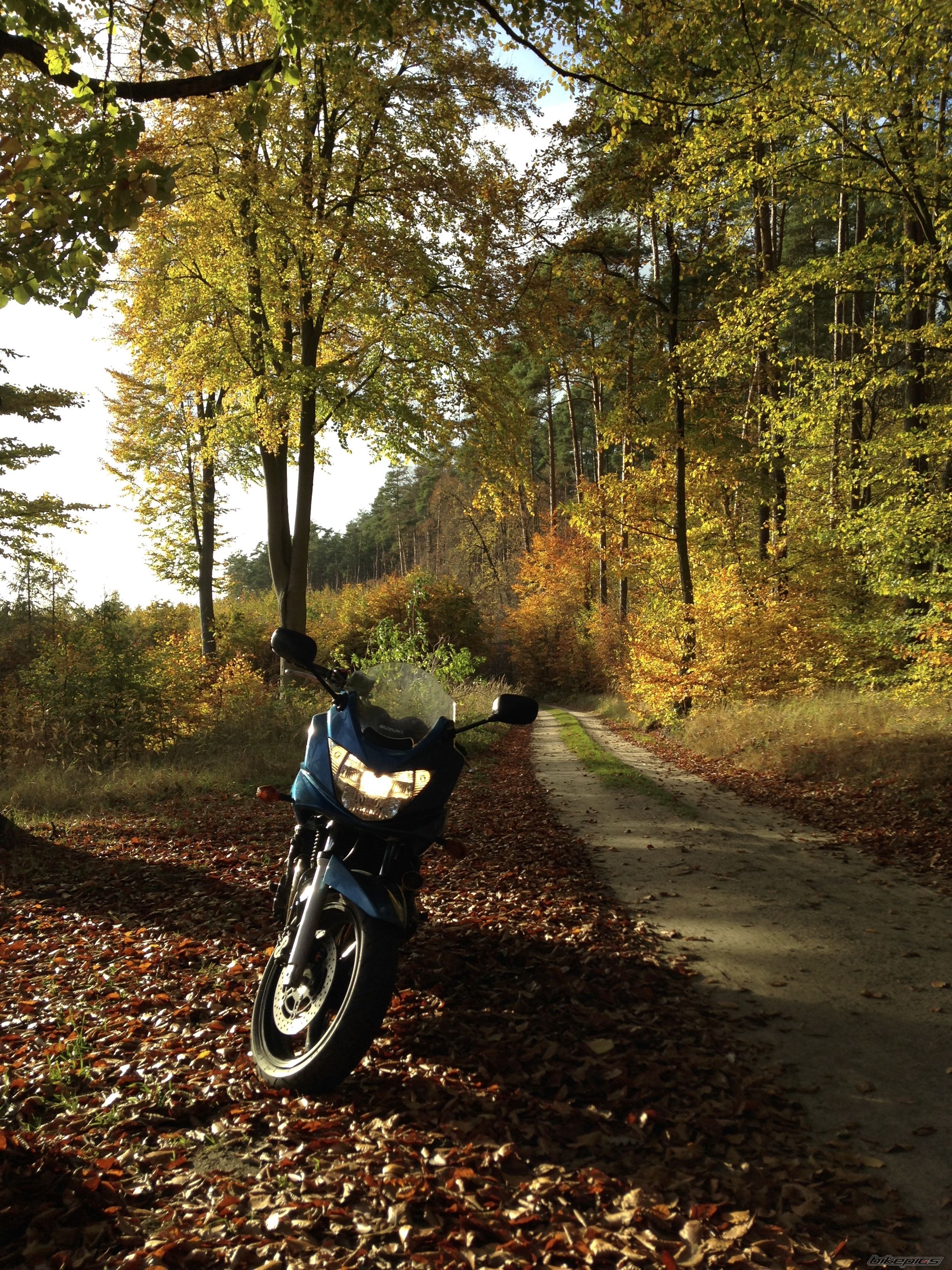 Bike Photo 2609323
