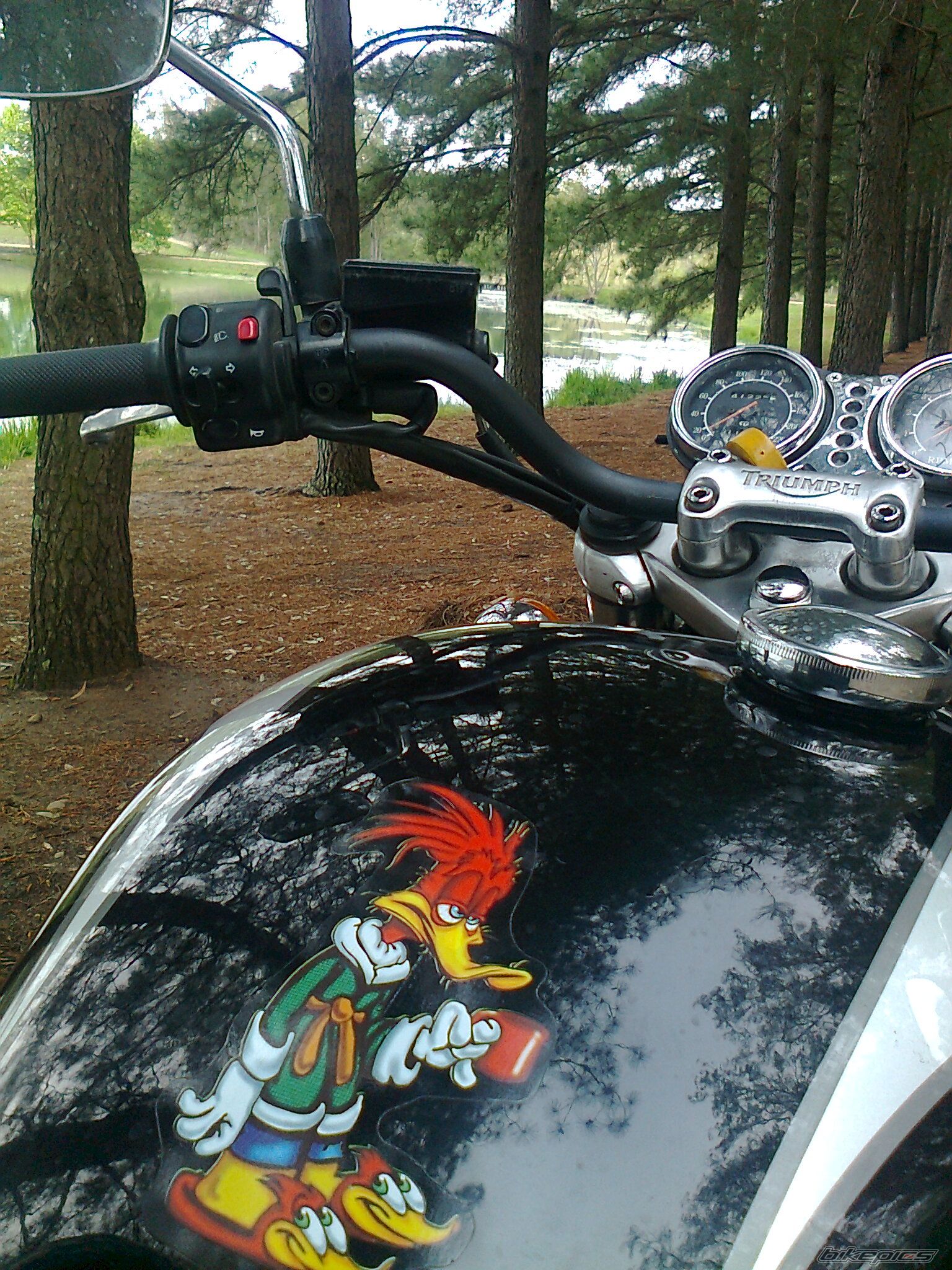 Photo 2609341