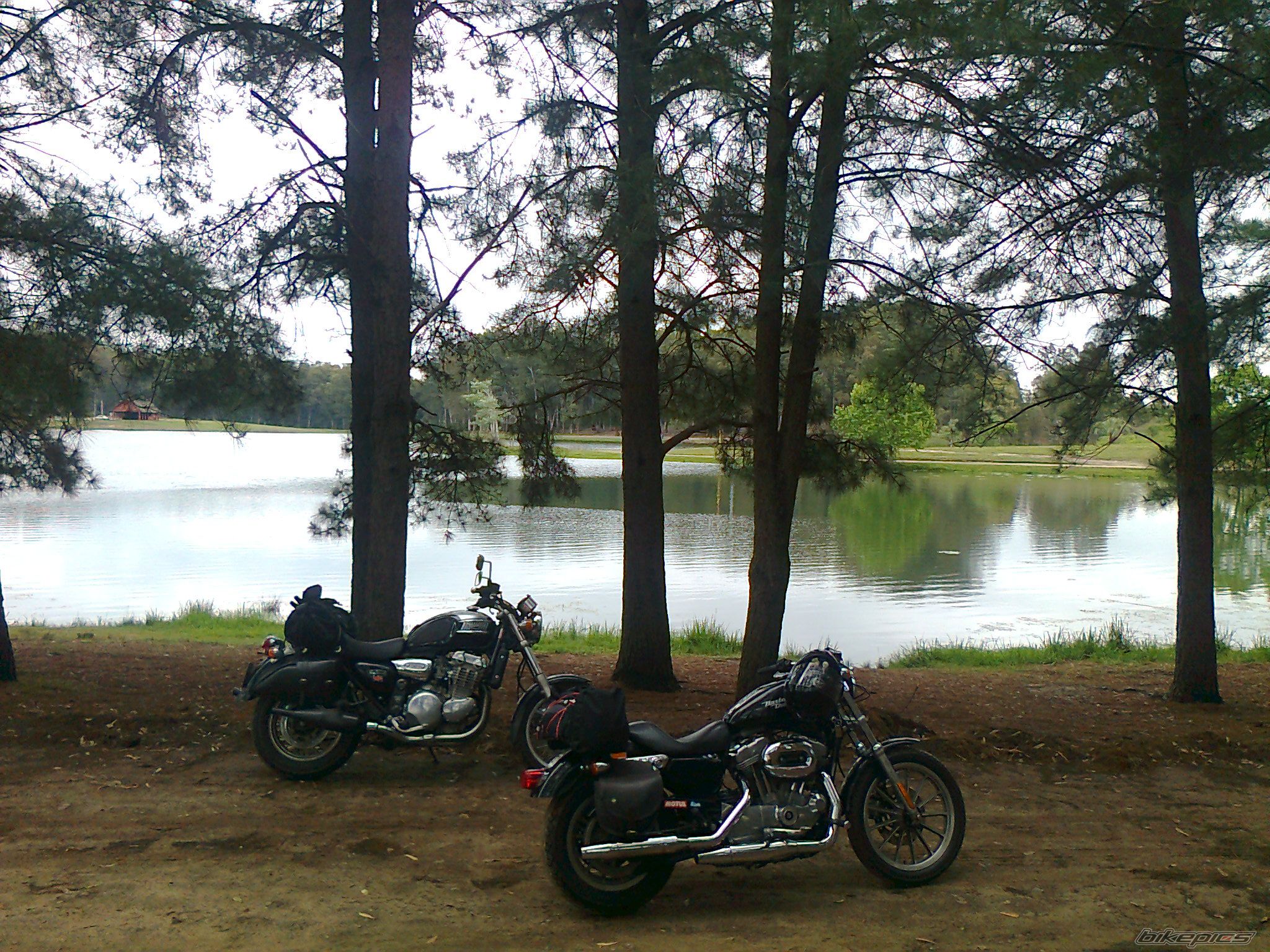Photo 2609349