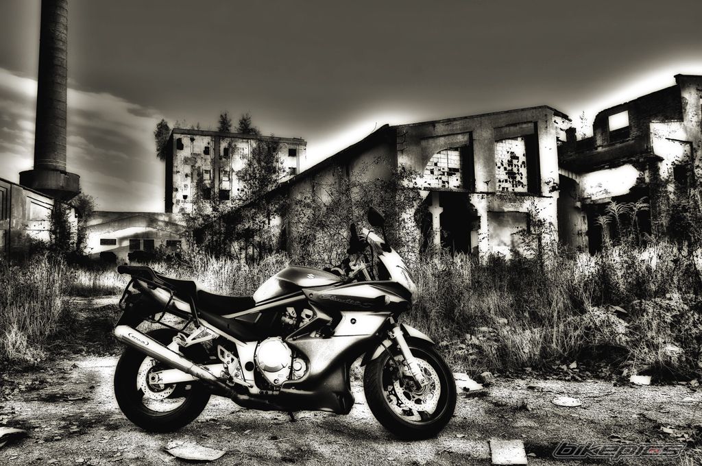 Photo 2609412