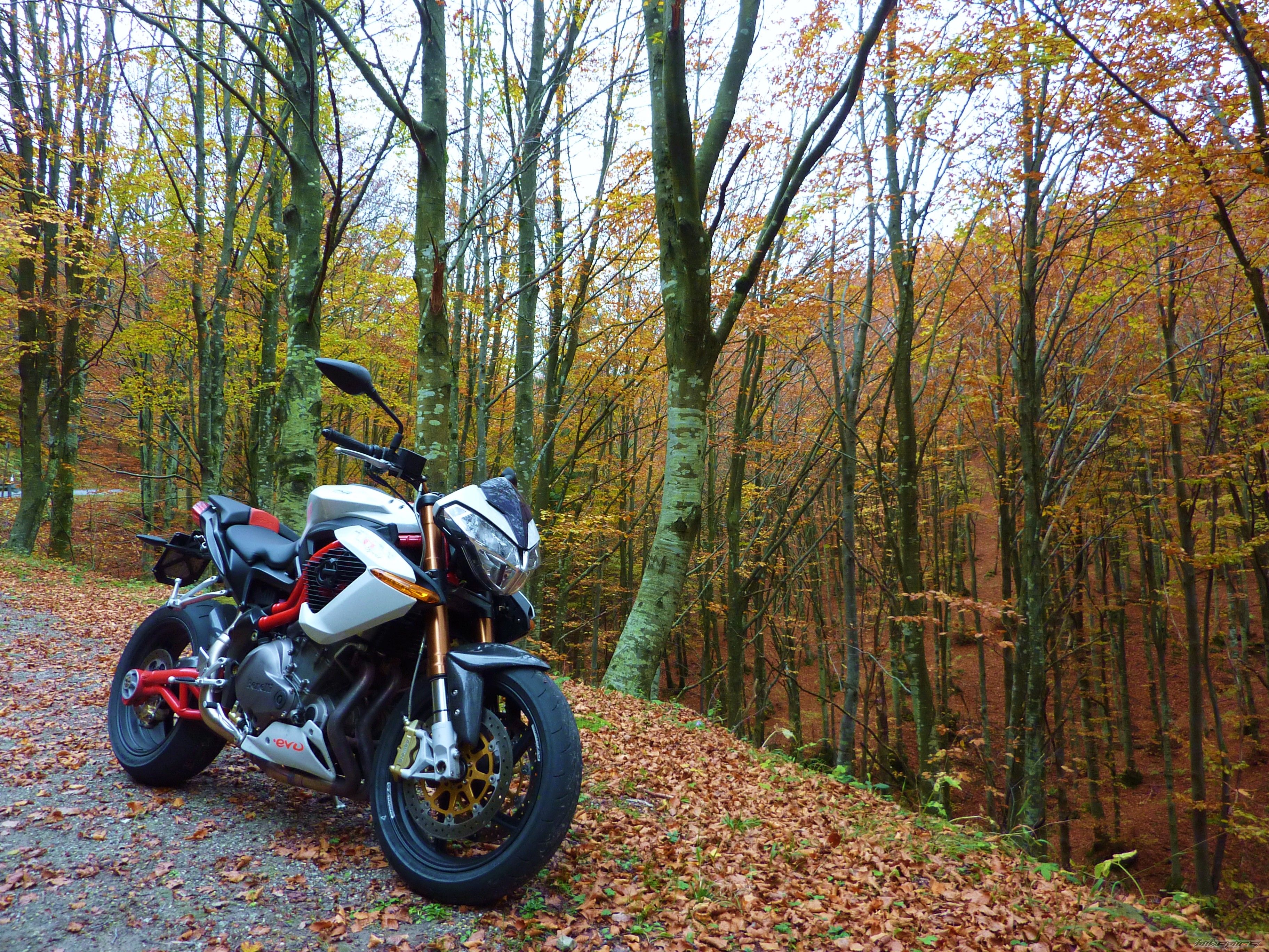 Bike Photo 2609473