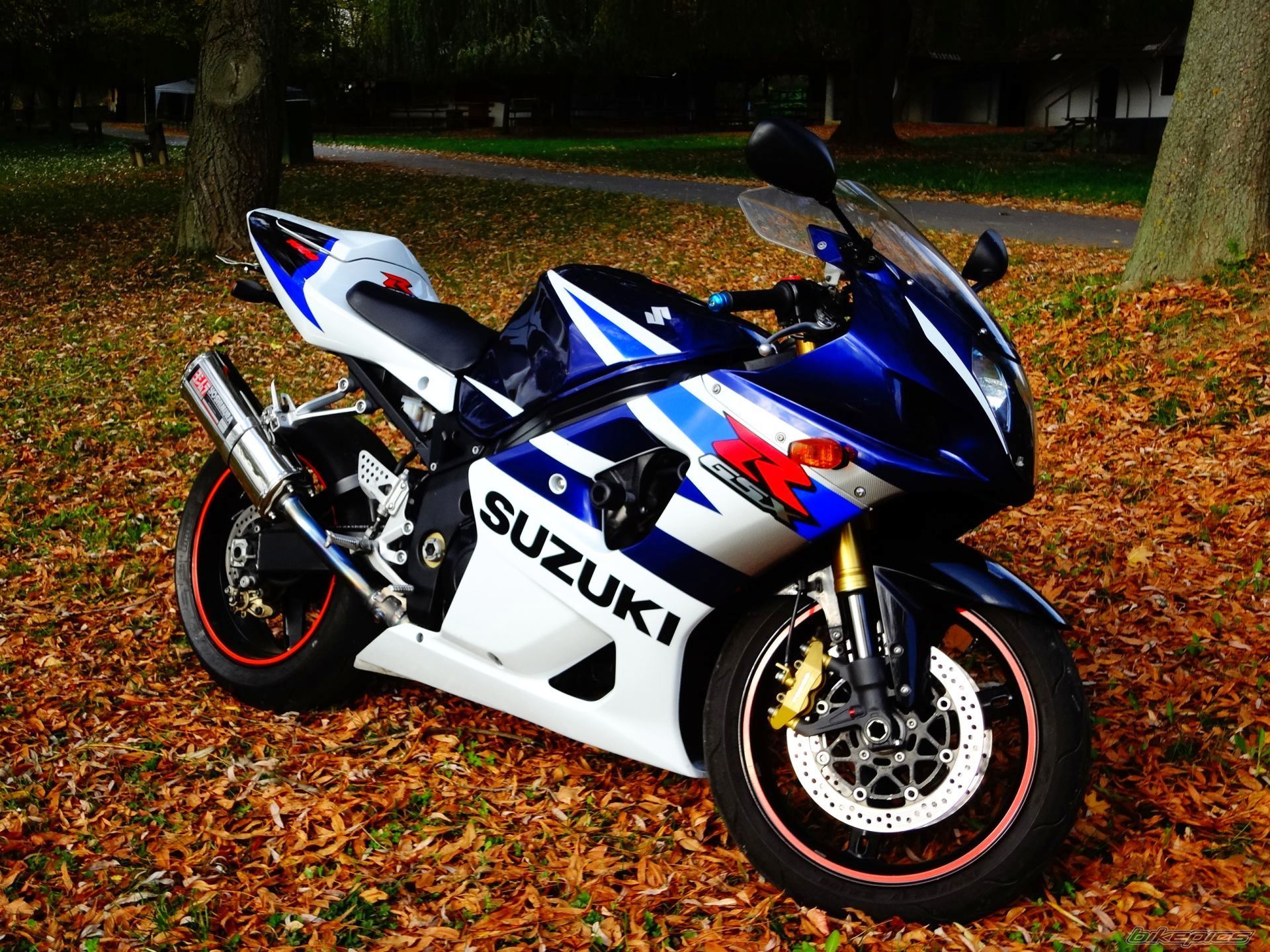 Bike Photo 2609527