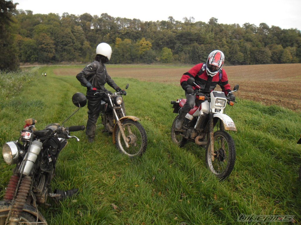 Photo 2609551