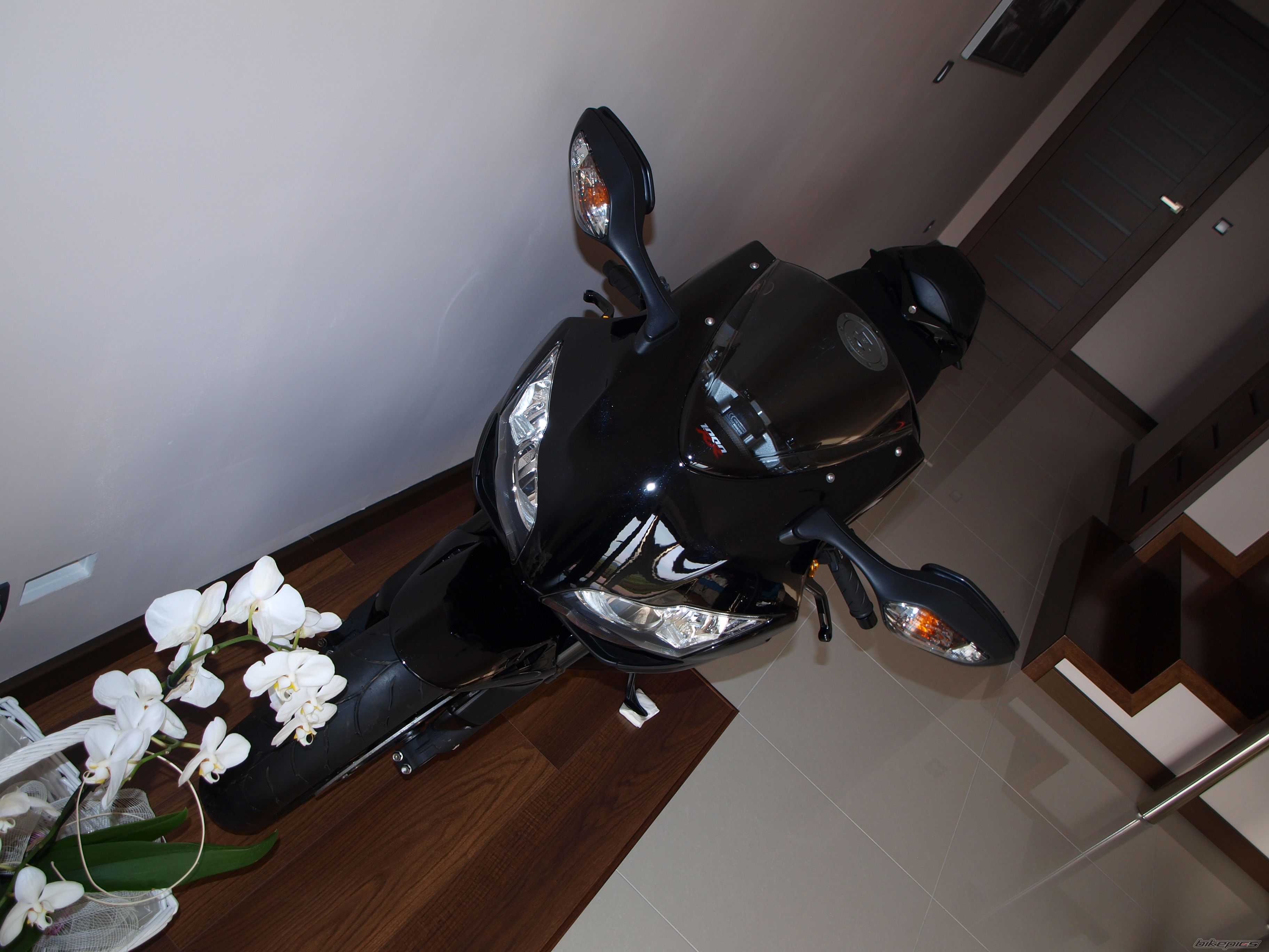 Photo 2609601