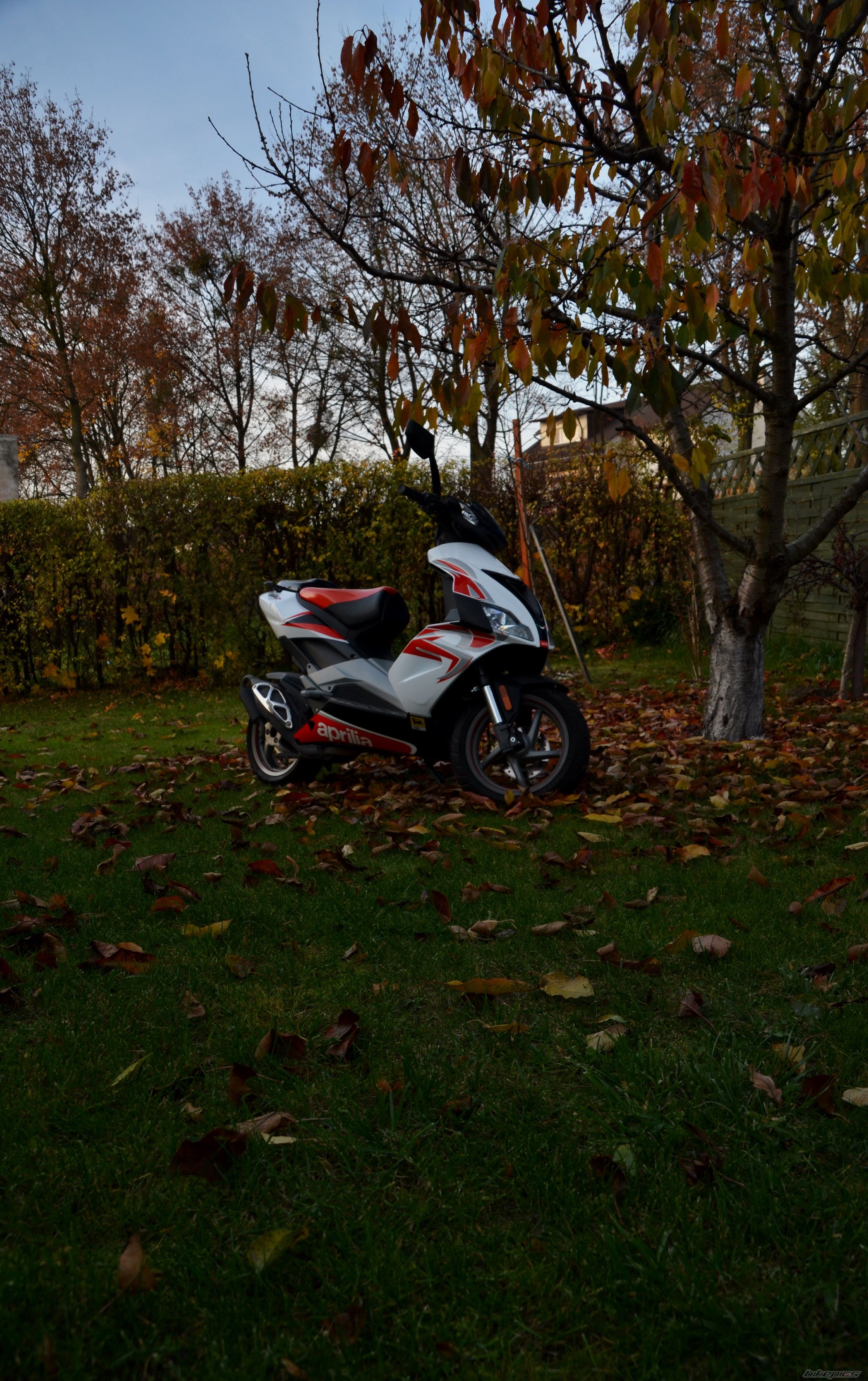 Photo 2609638