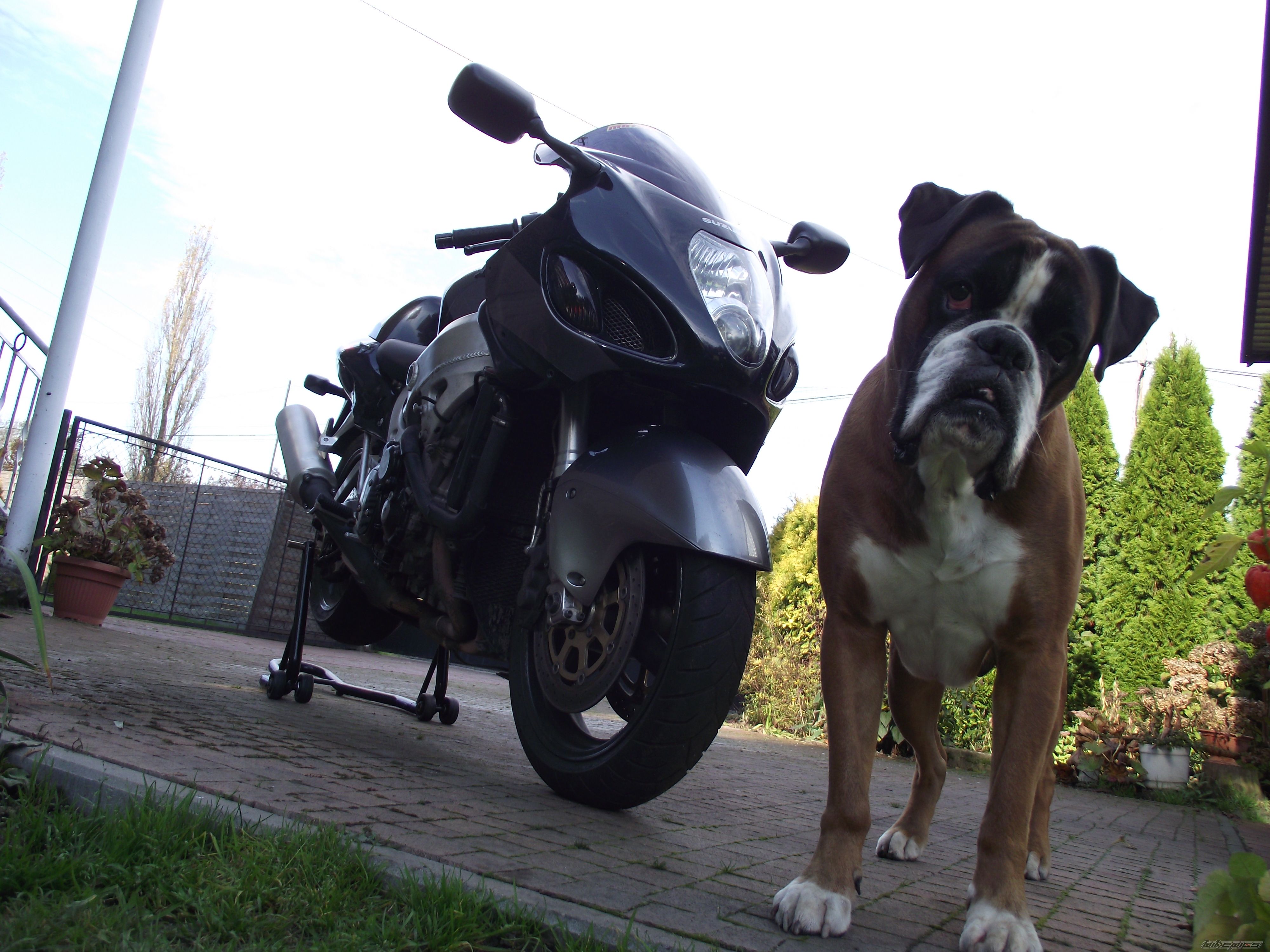 Bike Photo 2609938