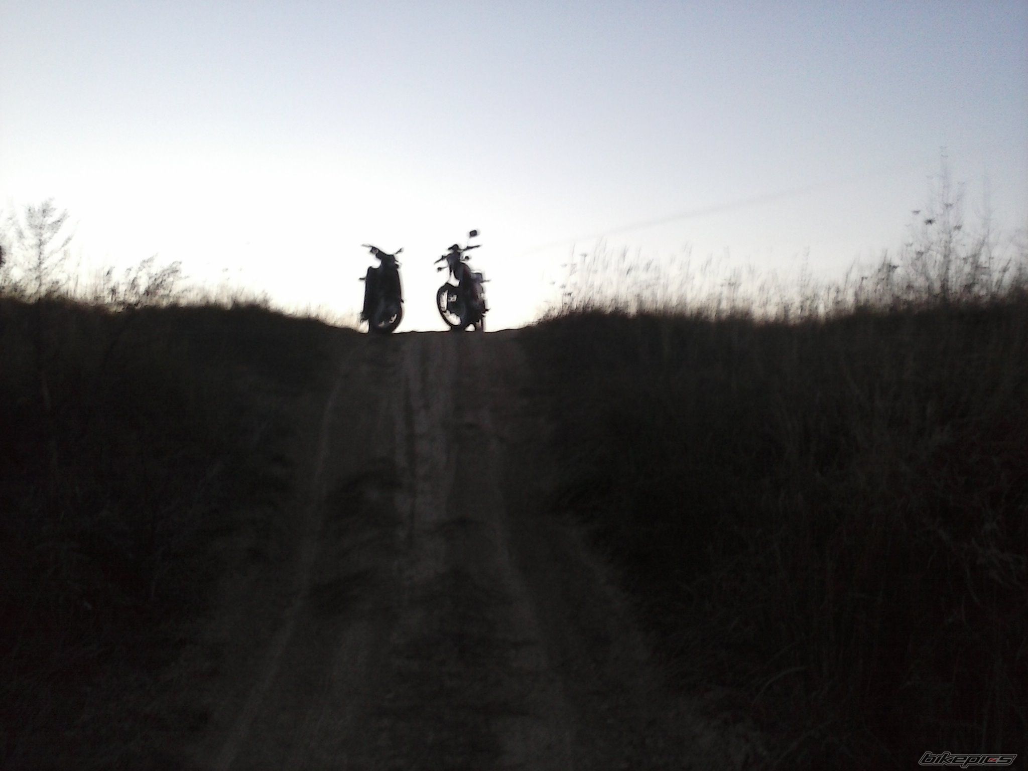 Photo 2610011