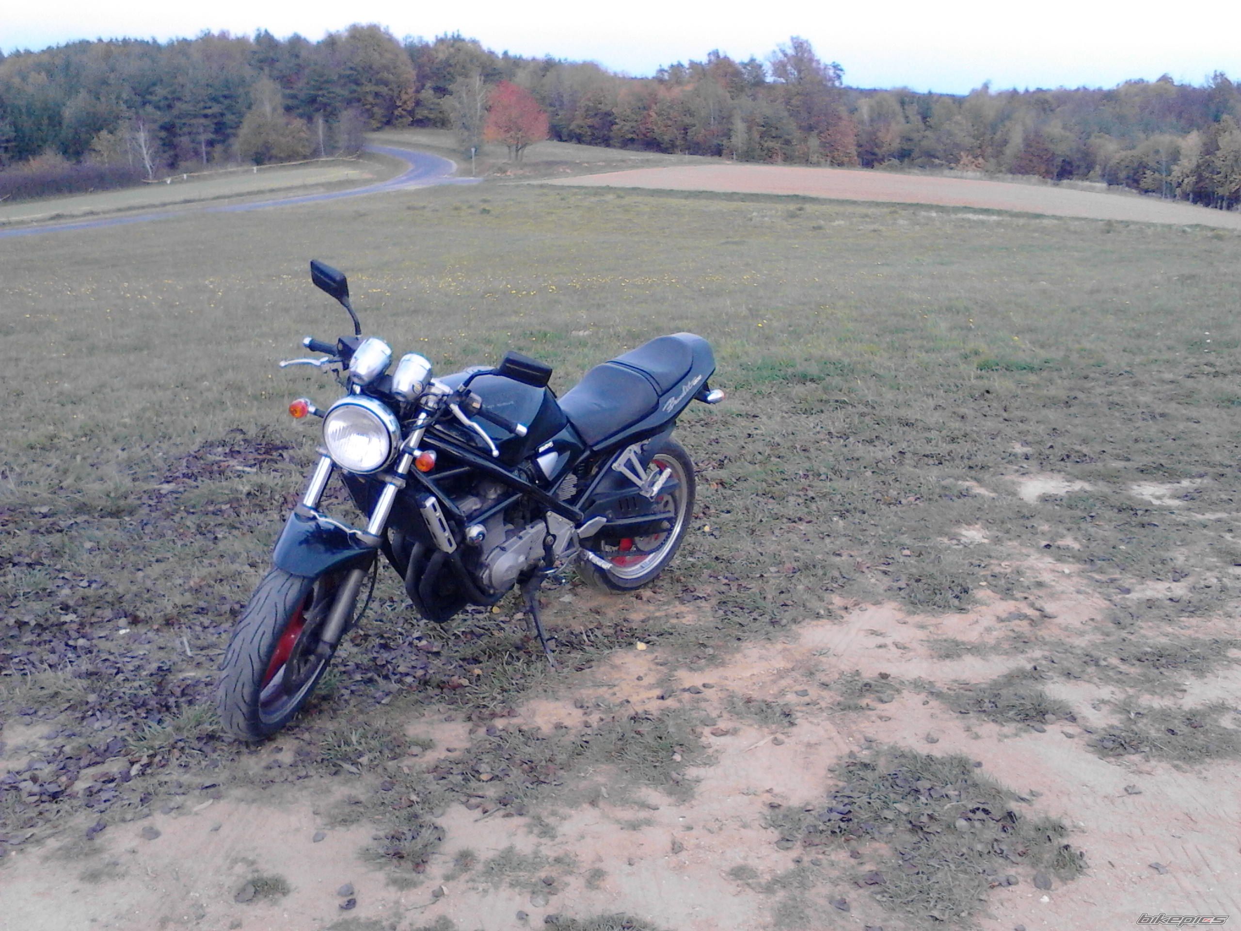 Photo 2610453