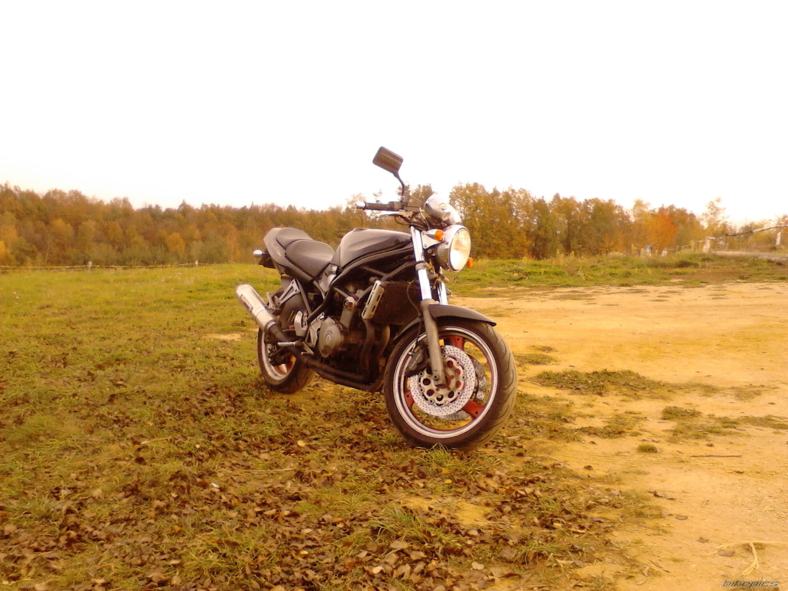 Photo 2610457