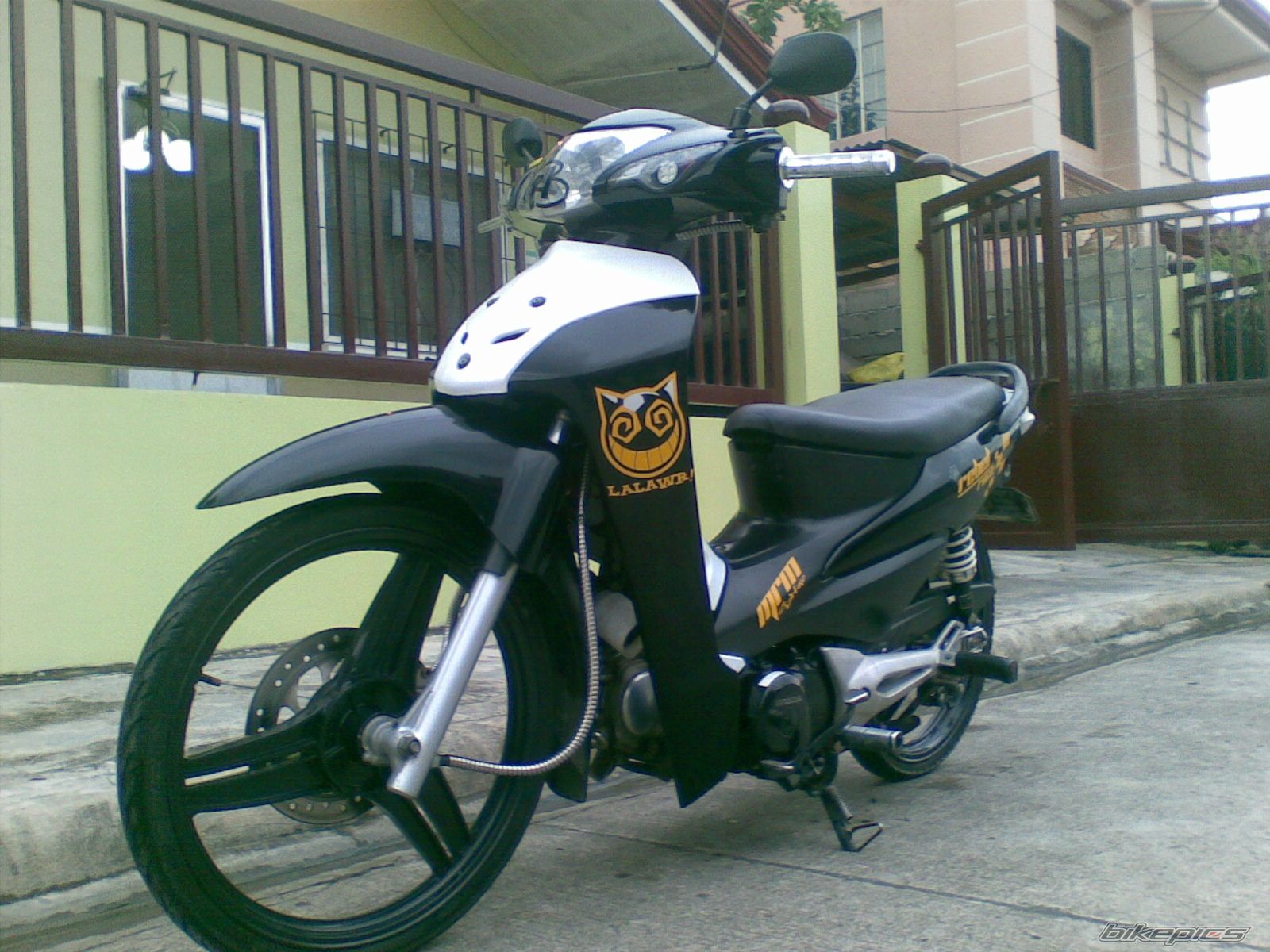 Photo 2610594
