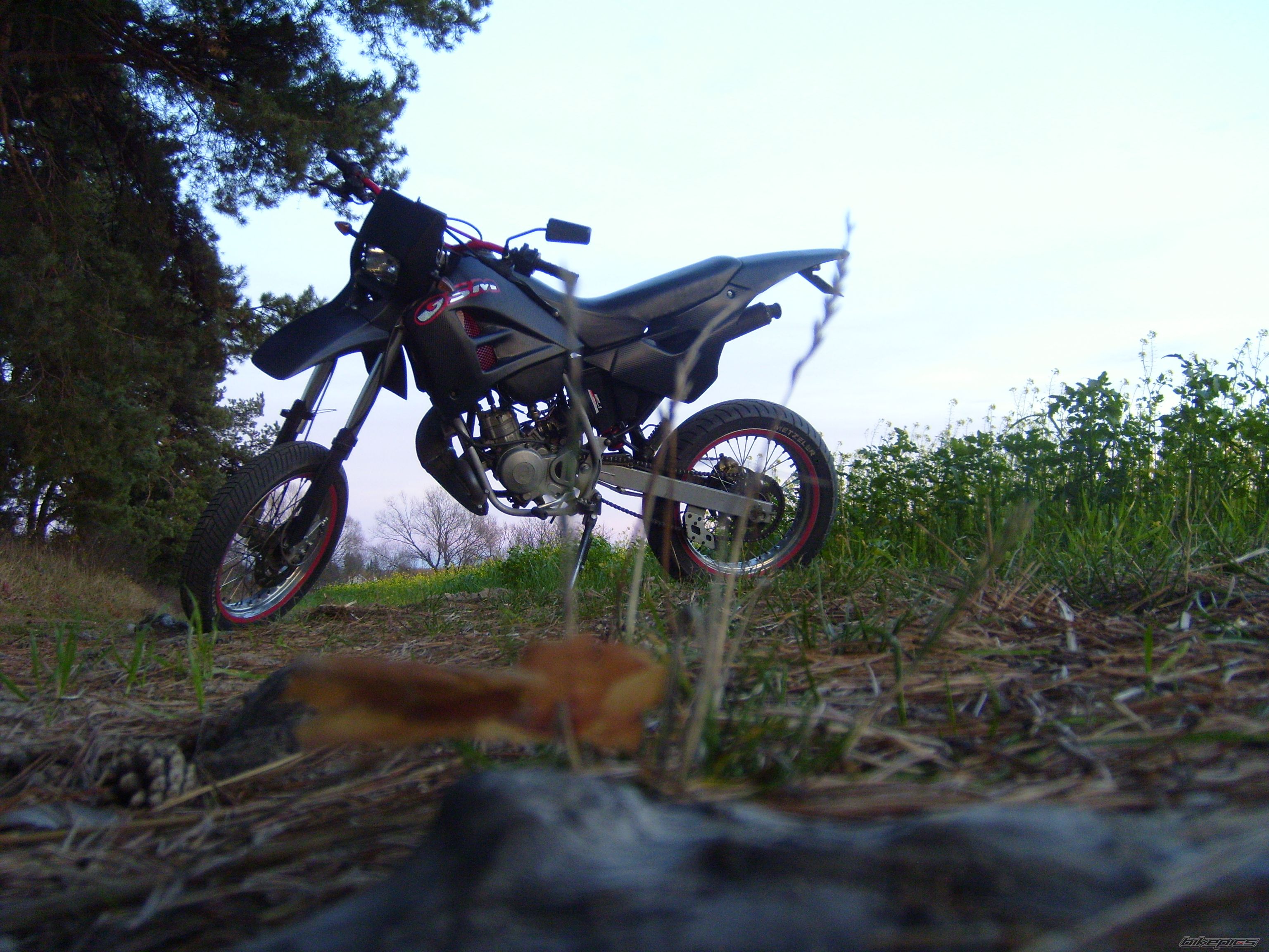 Photo 2610788