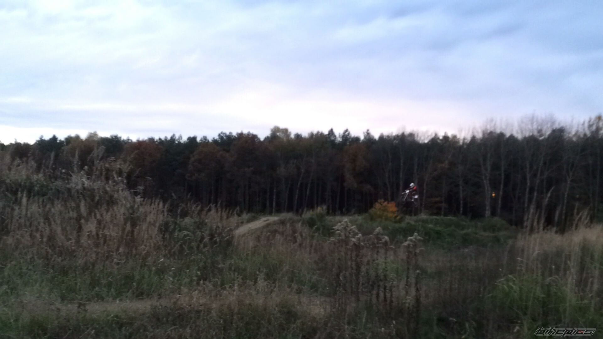 Photo 2611128