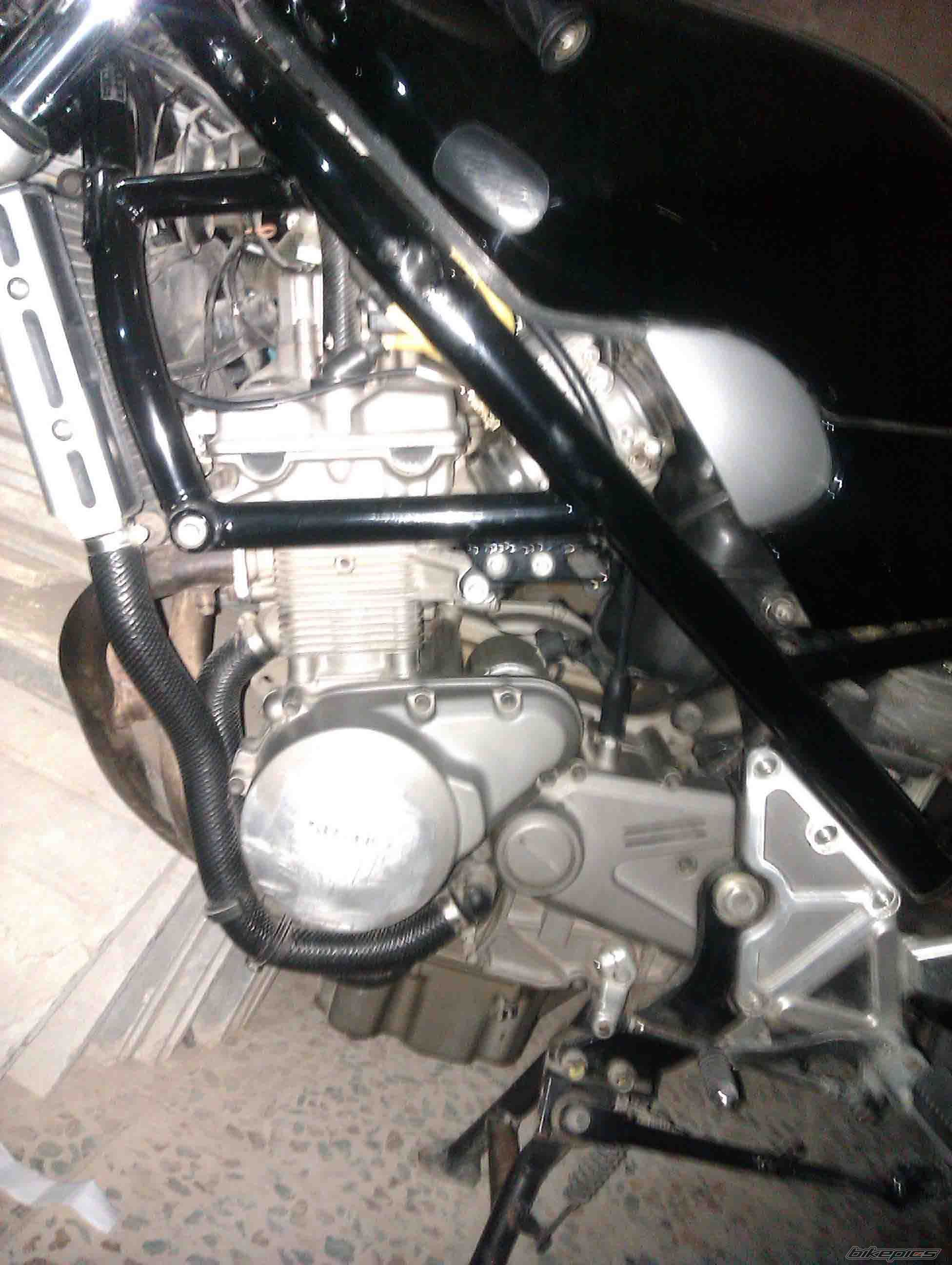 Photo 2611260