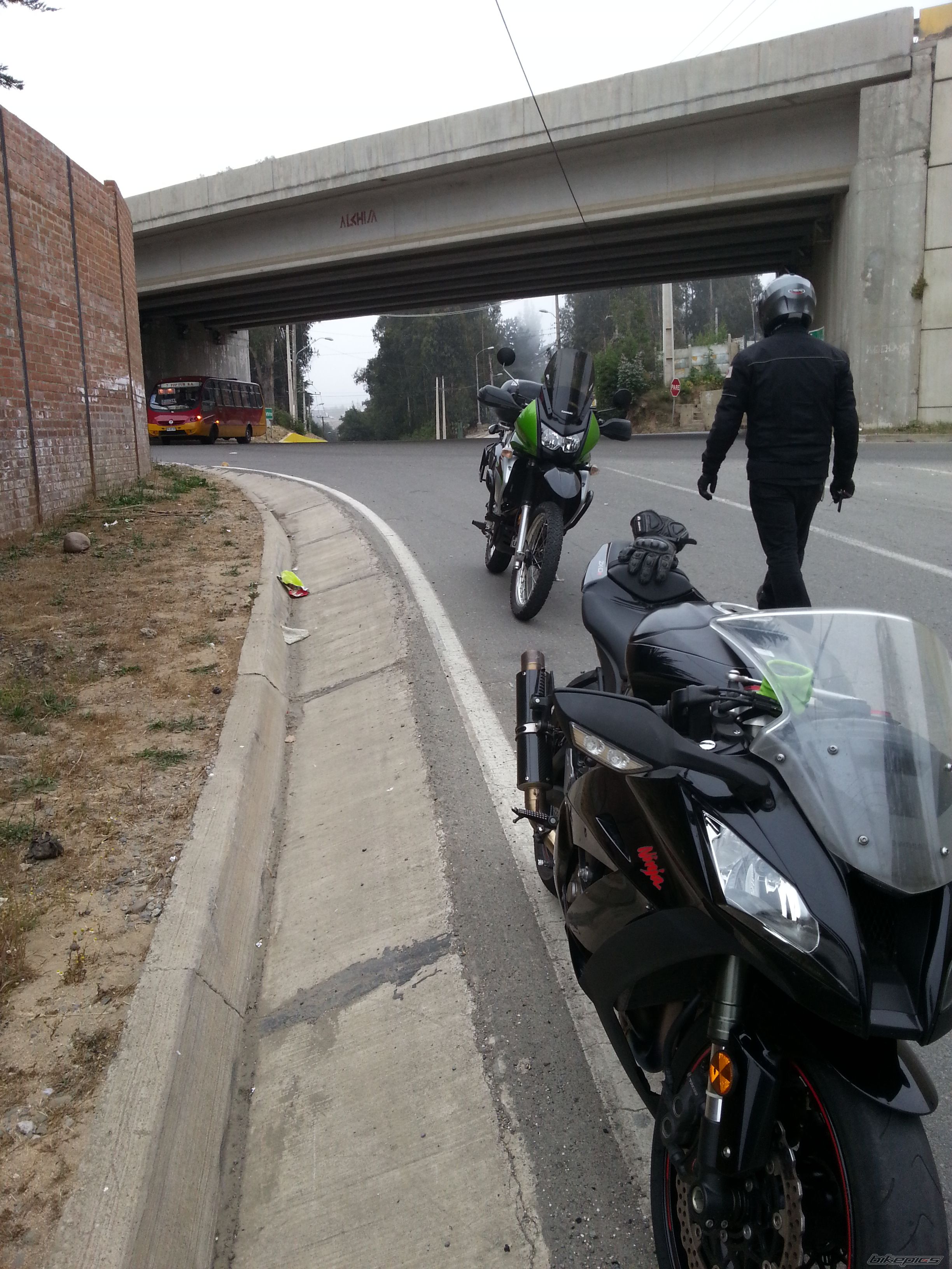 Photo 2611279