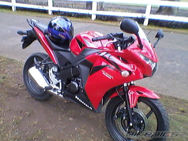 Photo 2611323