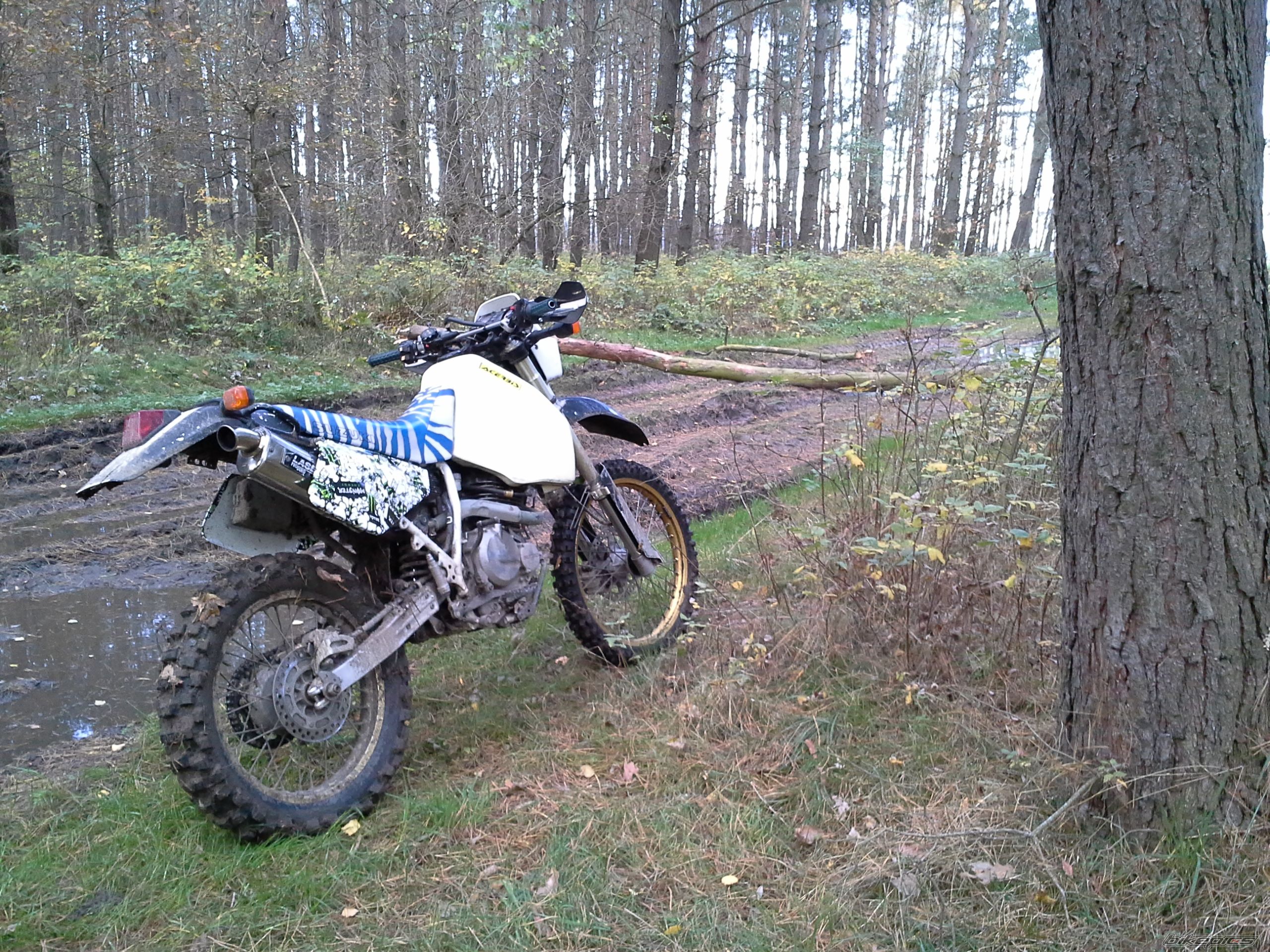 Photo 2611389