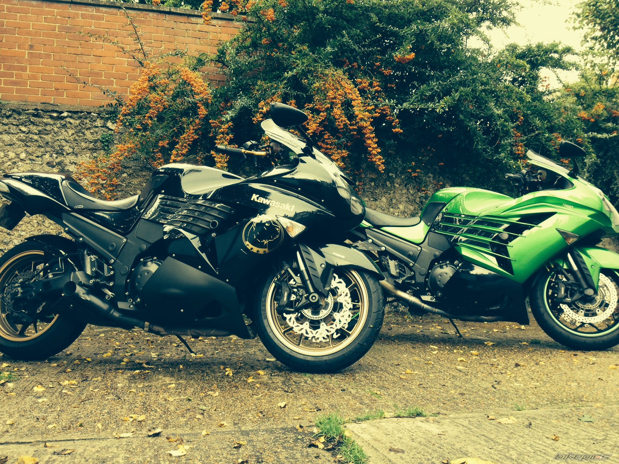 Photo 2611420