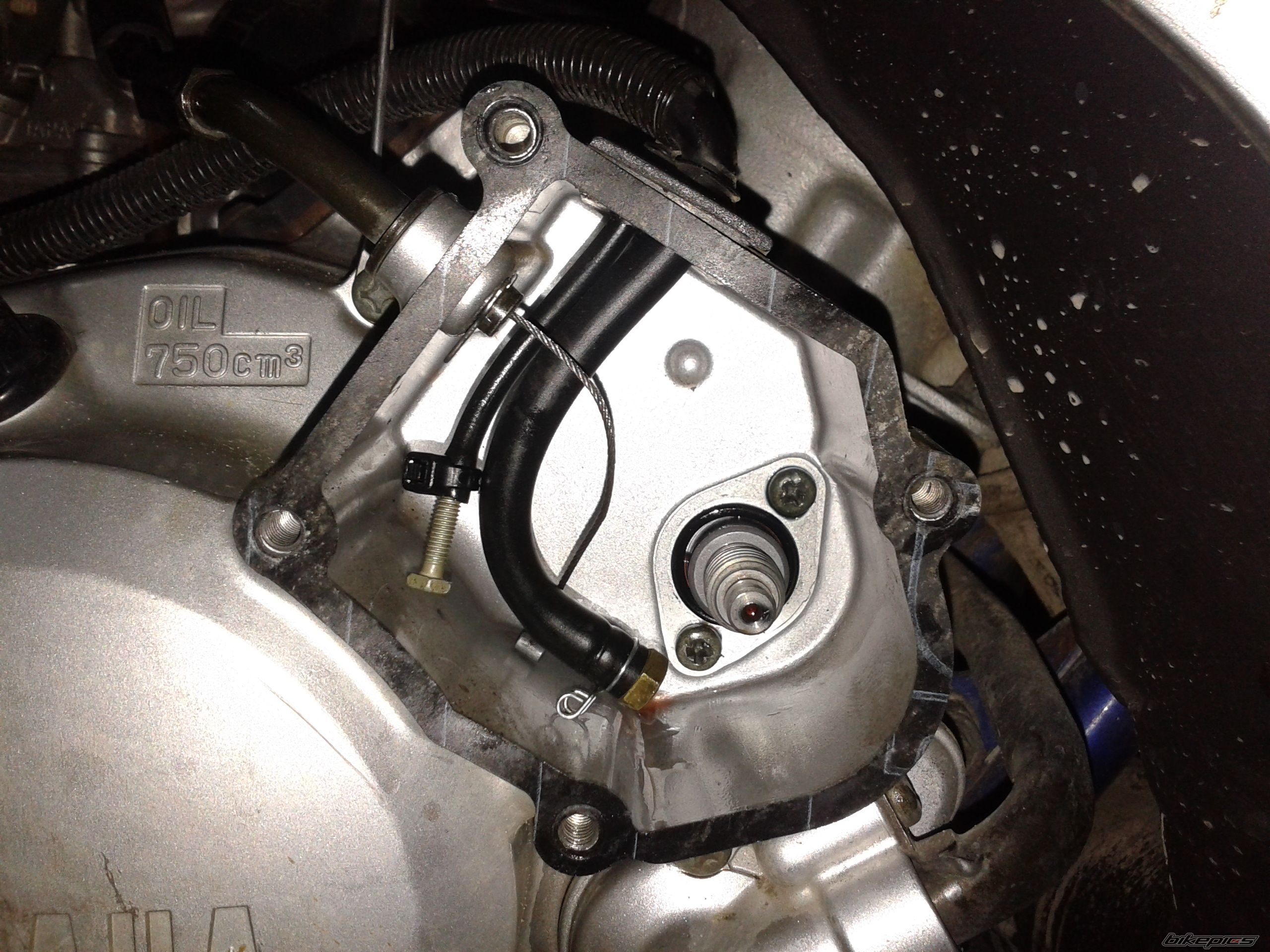 Photo 2611443