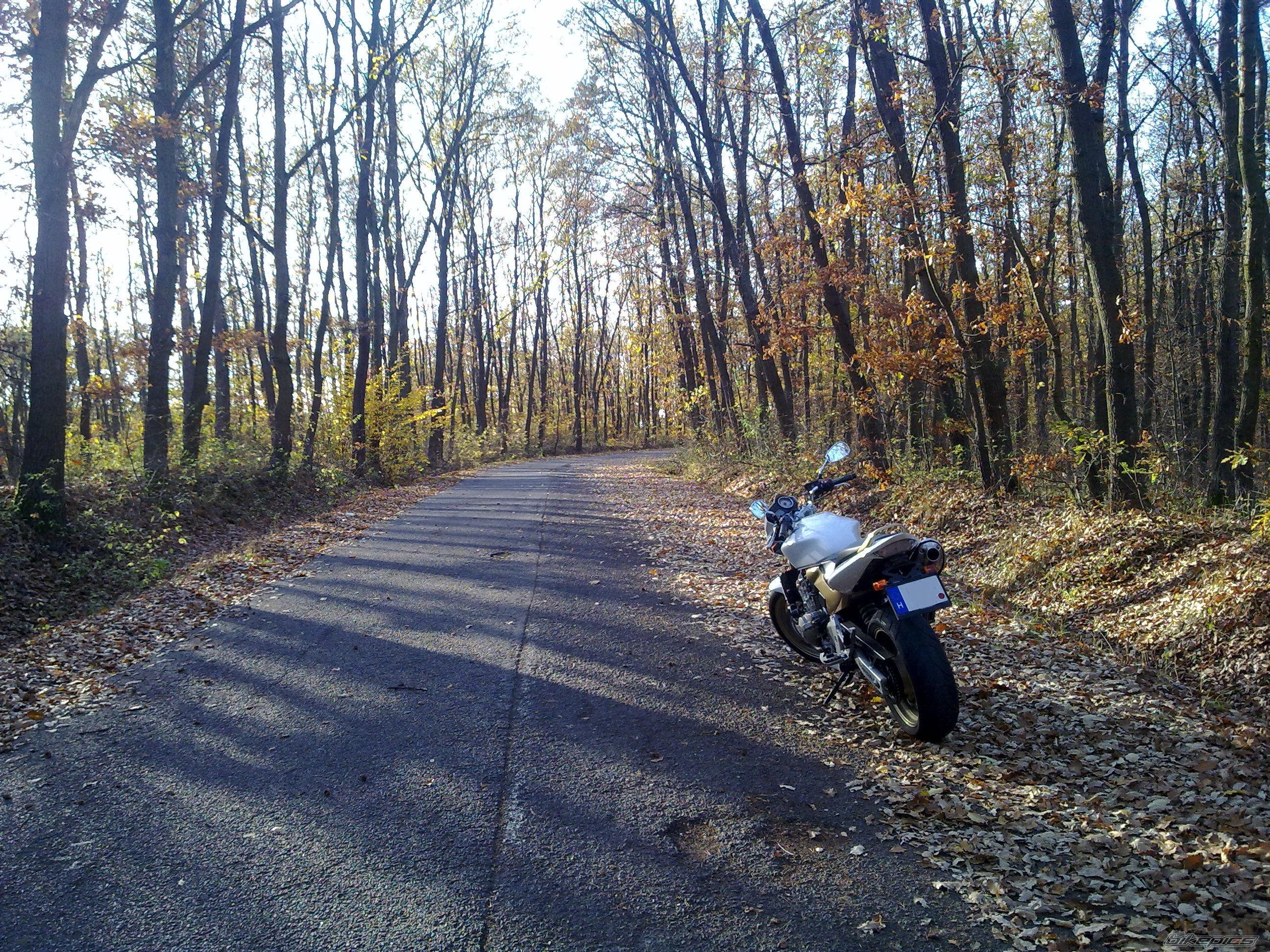 Photo 2611543