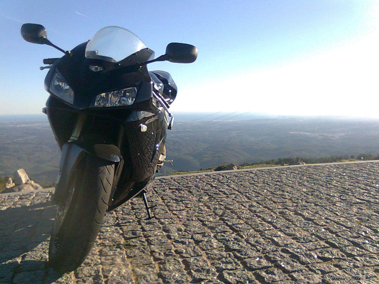 Photo 2611588
