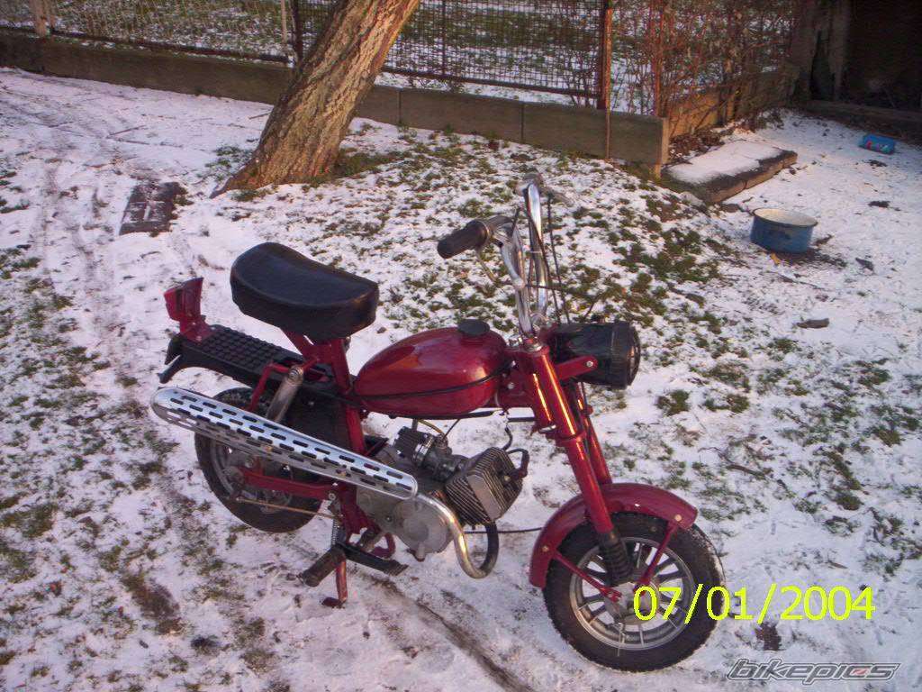 Photo 261177
