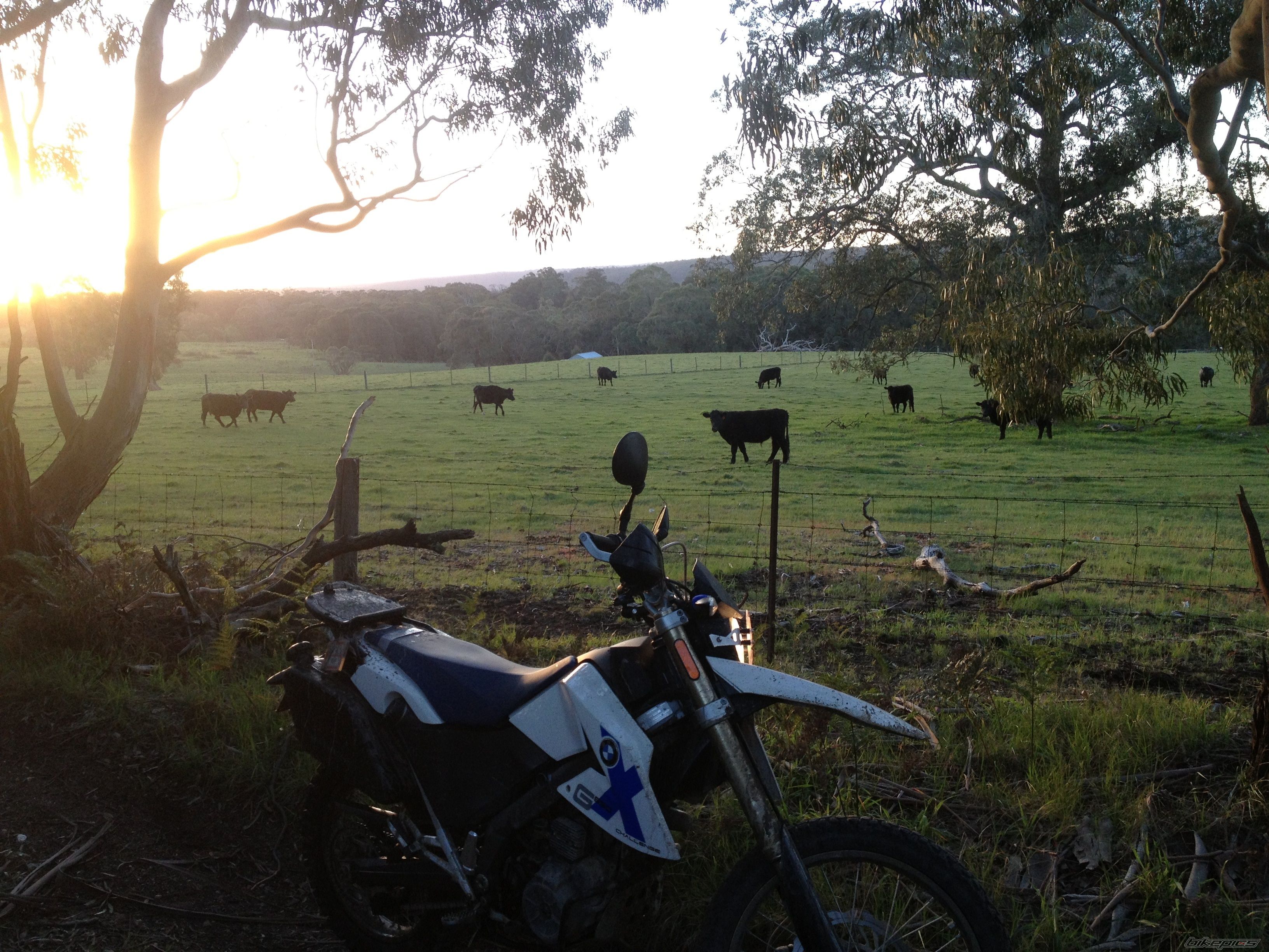 Bike Photo 2611828