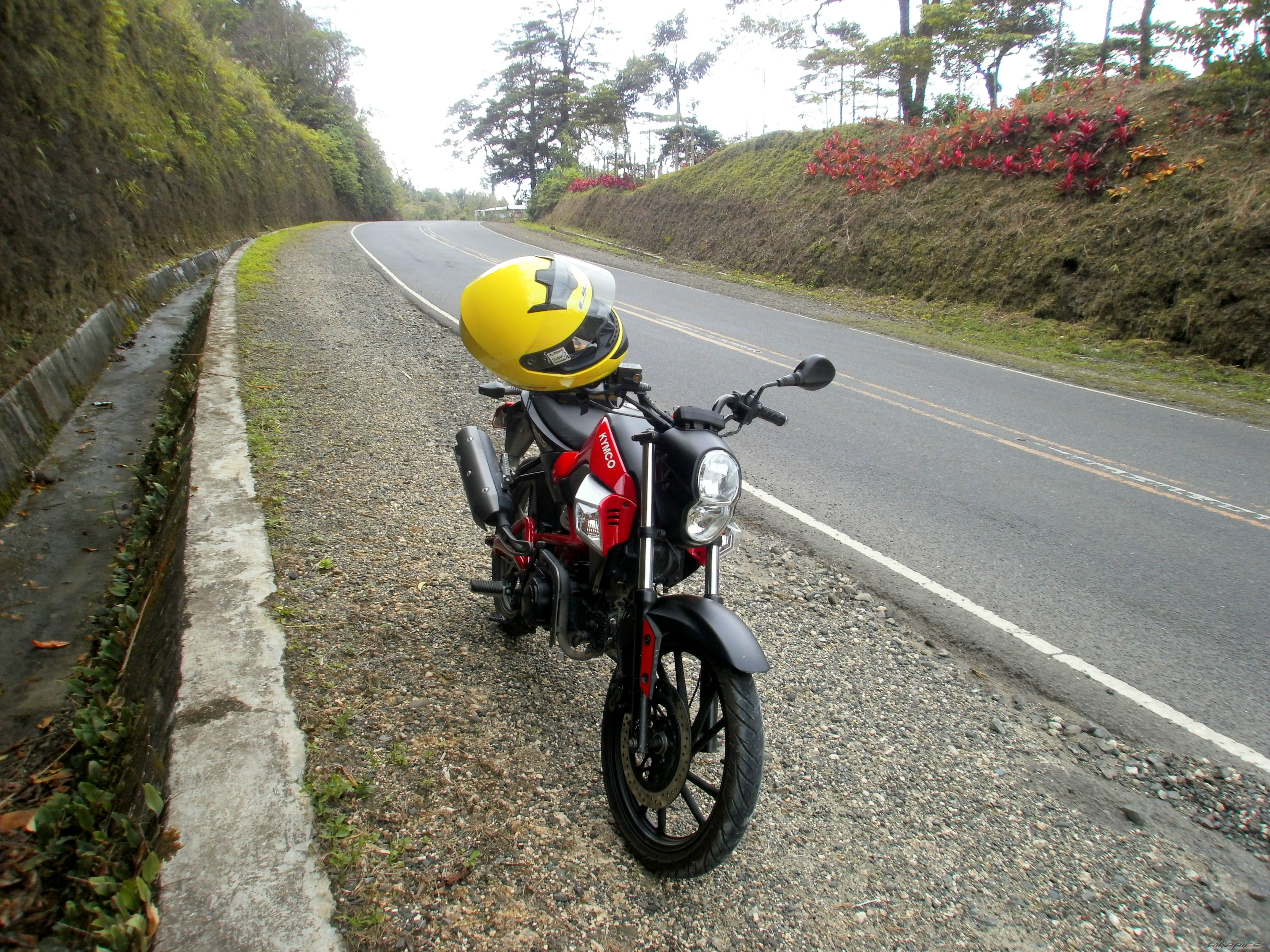 Photo 2611885