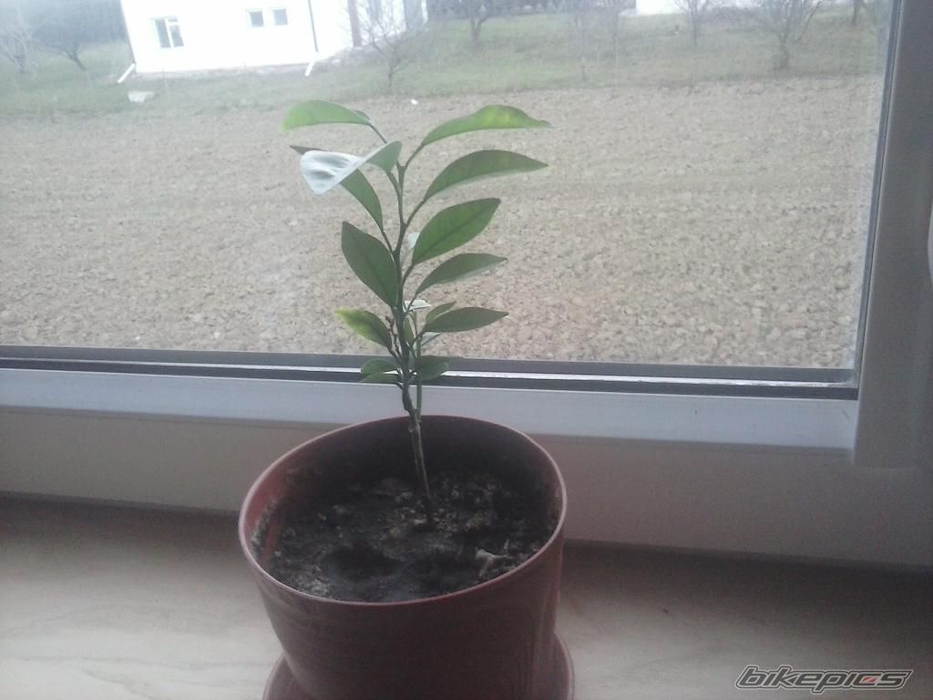Photo 2612189