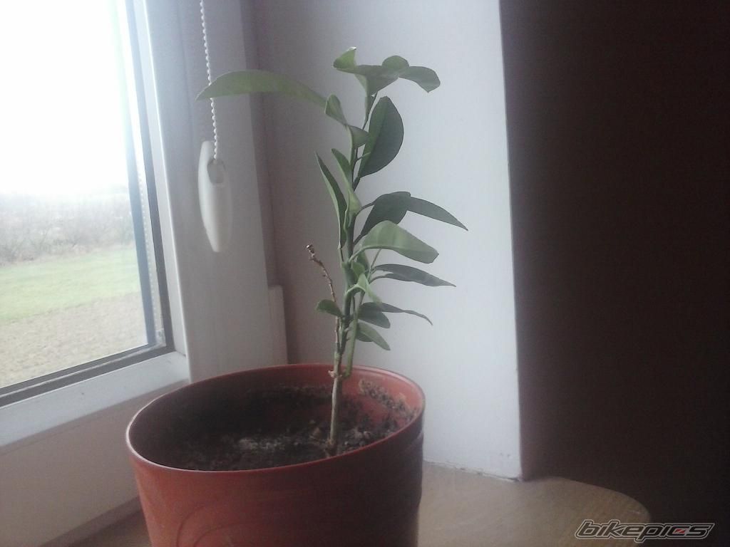 Photo 2612190