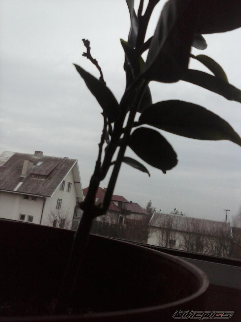 Photo 2612192