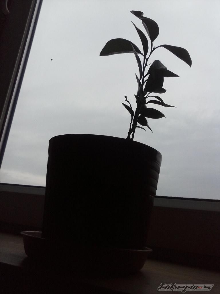 Photo 2612194