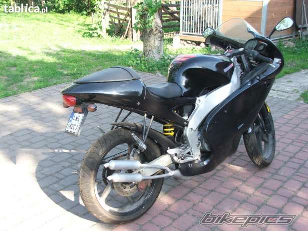 Photo 2612281