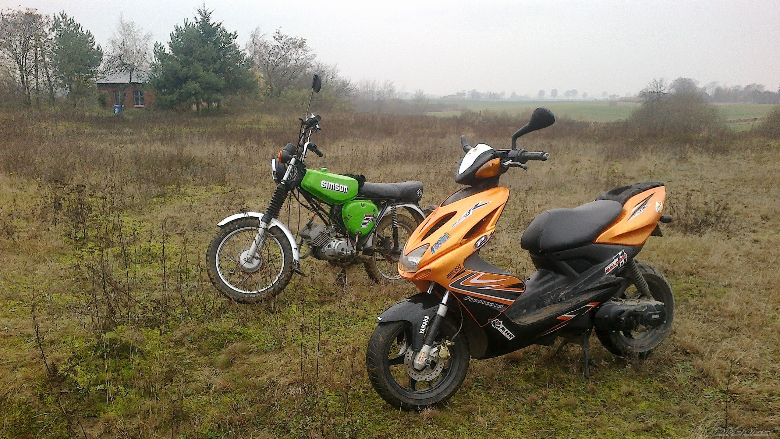 Photo 2612285