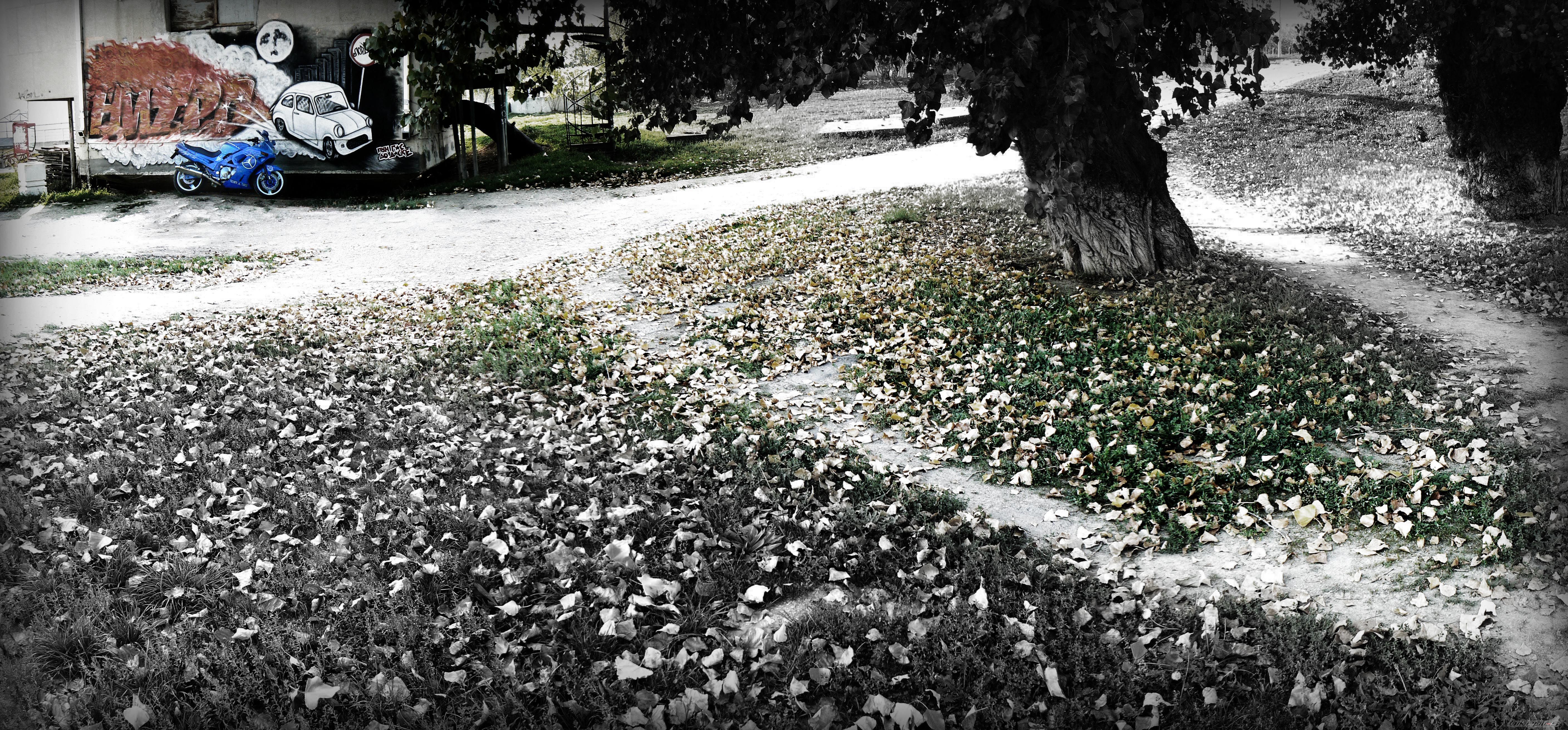 Photo 2612290