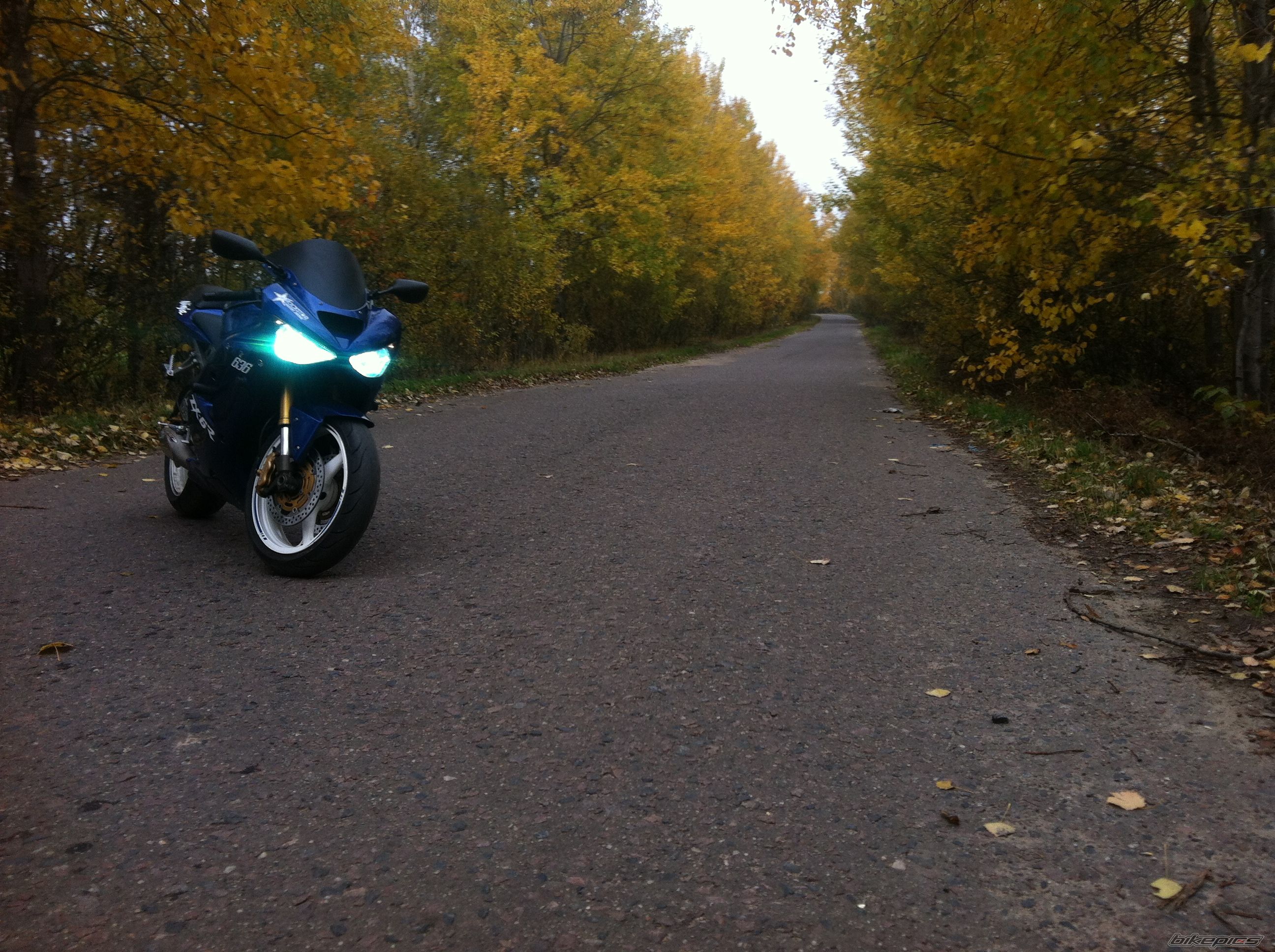 Photo 2612325