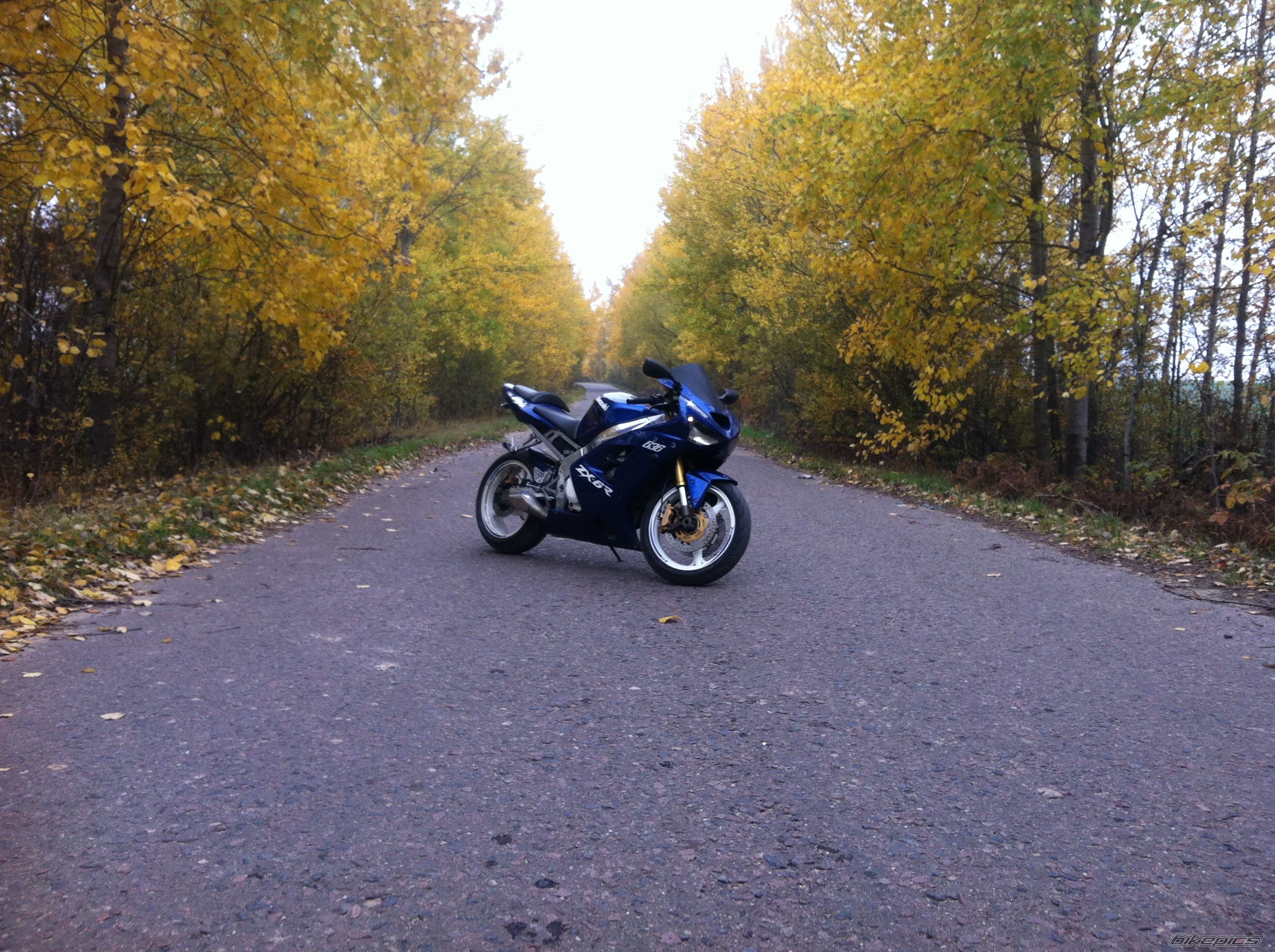 Photo 2612328