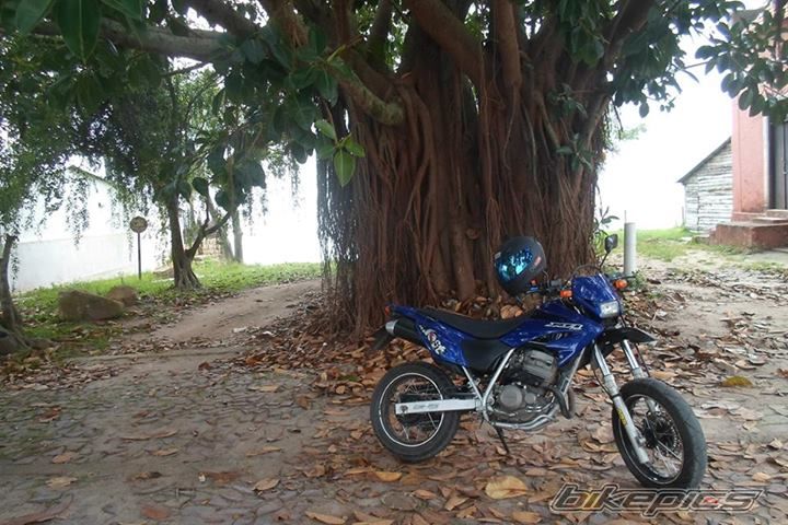 Bike Photo 2612334