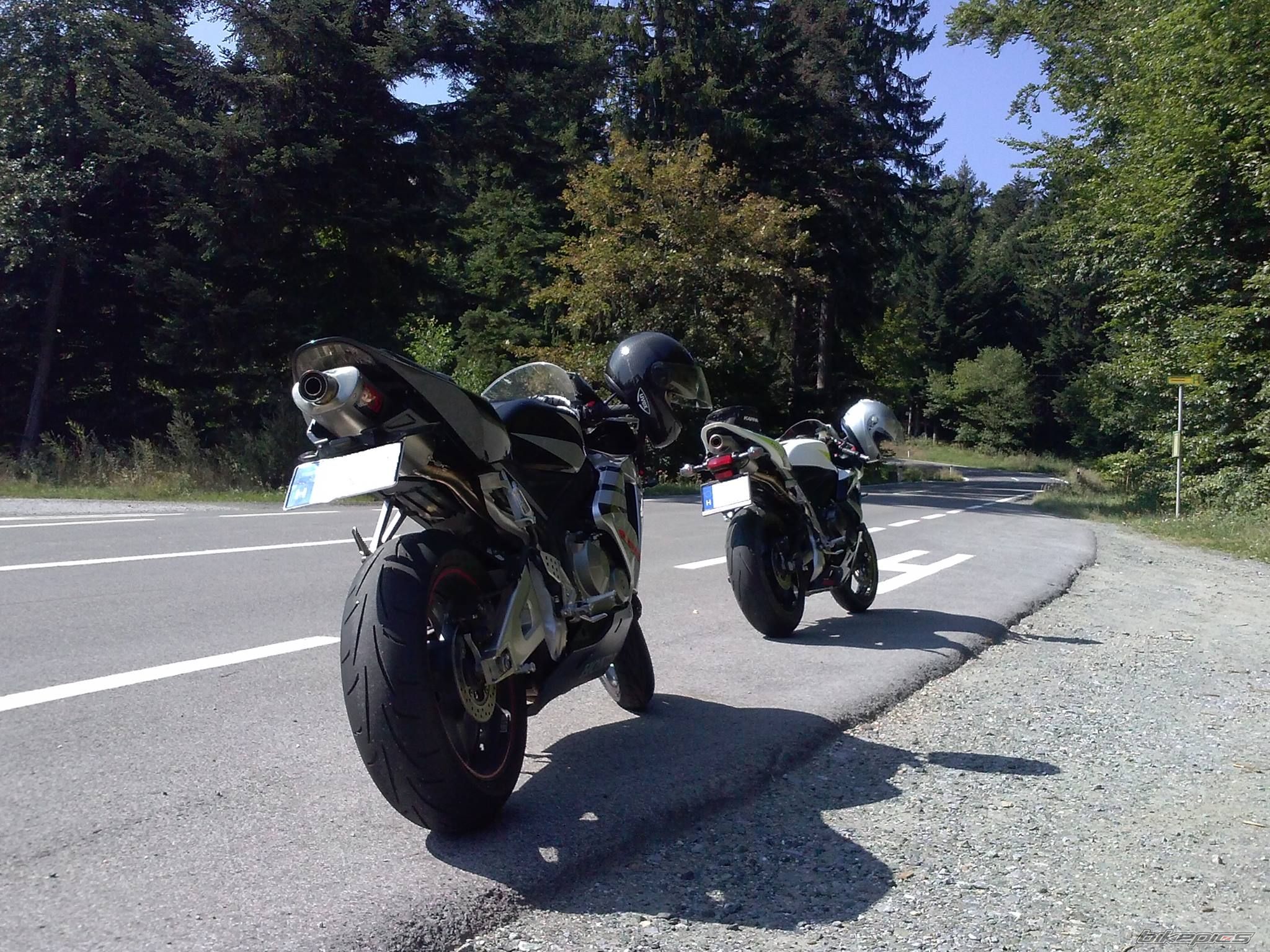 Photo 2612348