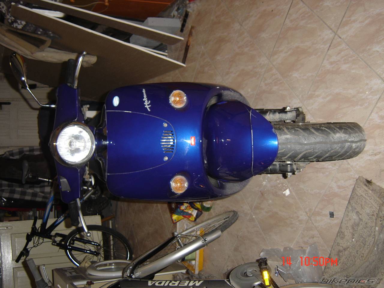 Photo 261251