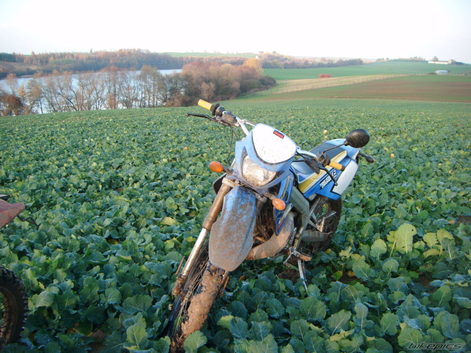 Photo 2612609